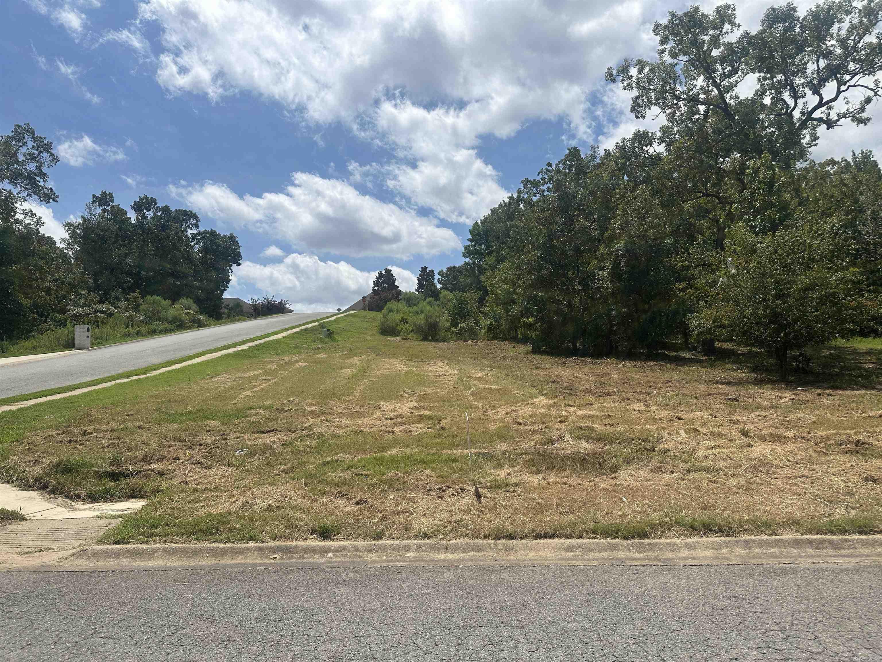 Corner lot to build your custom home!!! You can have side load garage or front load garage. Big yard for pets, too! See plat for lot layout. Nice quiet area with no through traffic. Plat and bill of assurance on docs on line. See agent notes.