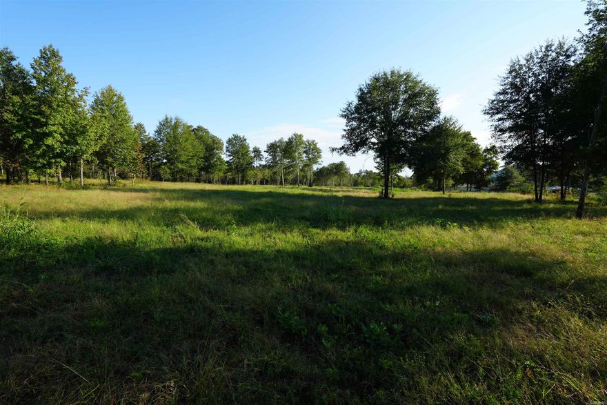 Rare acreage (almost 14 acres) basically right in main part of Dover! Beautiful property that it currently mostly wooded, with some cleared areas. Privacy and nature, but walking distance to Harp's! Access off of Library Rd or Slabtown Rd. Don't miss your chance to purchase this desirable property!