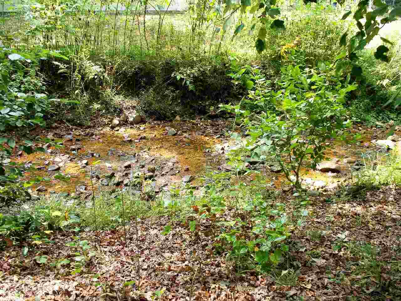 White Oak - Residential