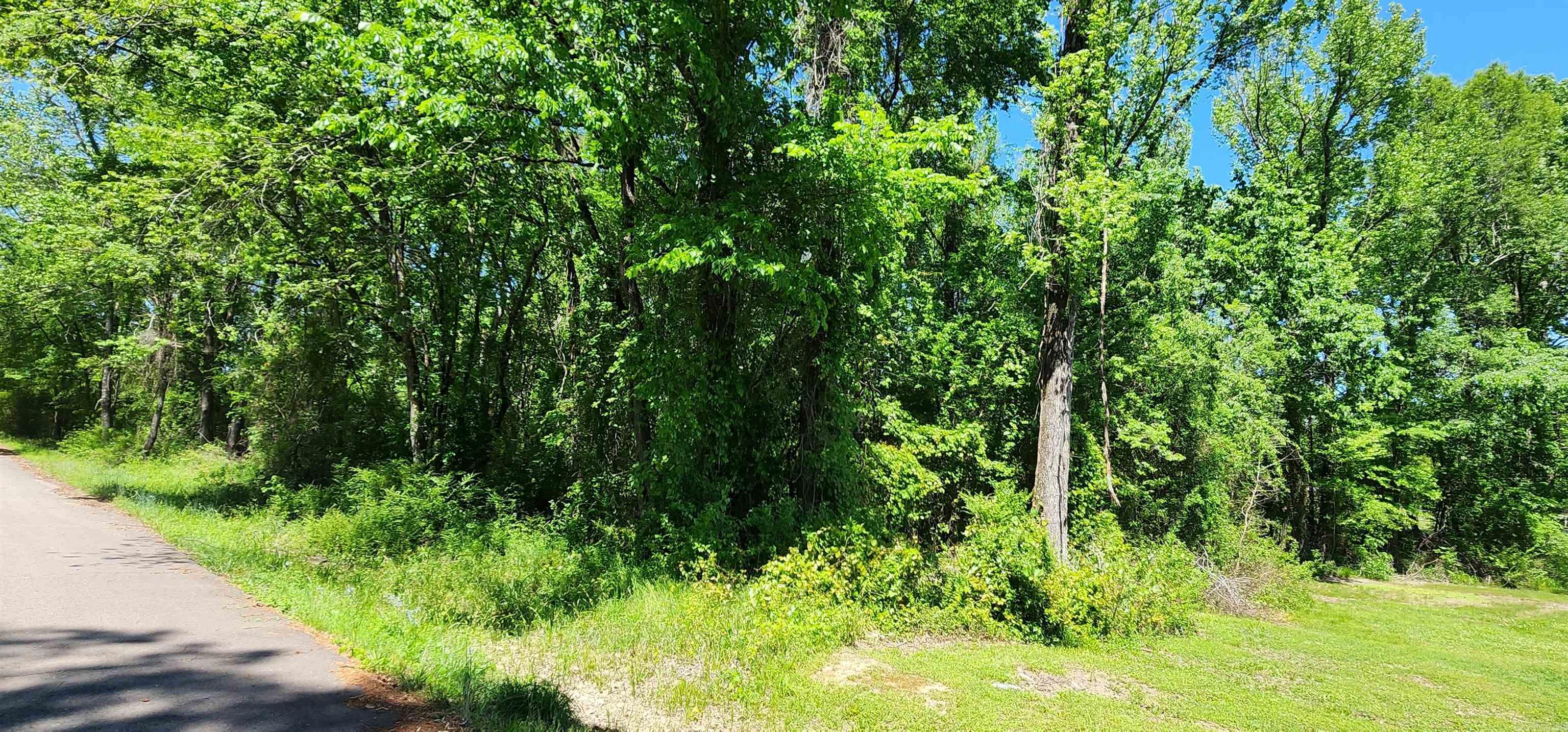 Come and see this home sight on a rare 1 acre lot in a quiet established subdivision on the south end of Russellville City Limits. This residential lot boasts a charming country life while still being in the city. Area has quick access to Russellville amenities as well as Dardanelle and Pottsville. Enjoy the outdoors being minutes from the Arkansas River, Mt. Nebo, Old Post Park, and Lake Dardanelle. It is located in Pottsville school district.