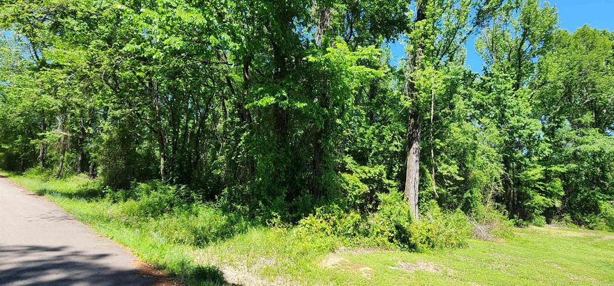 Come and see this home sight on a rare 1 acre lot in a quiet established subdivision on the south end of Russellville City Limits. This residential lot boasts a charming country life while still being in the city. Area has quick access to Russellville amenities as well as Dardanelle and Pottsville. Enjoy the outdoors being minutes from the Arkansas River, Mt. Nebo, Old Post Park, and Lake Dardanelle. It is located in Pottsville school district.