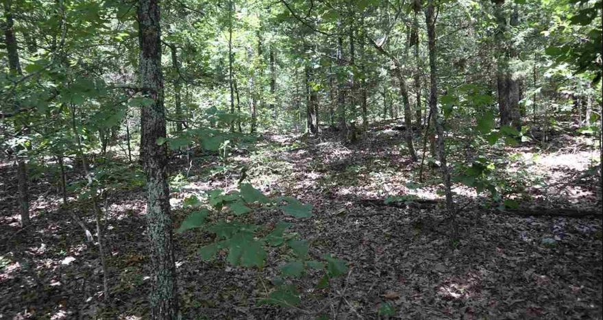 Check out this all wooded tract of land outside Ash Flat. It consists of 5 vacant acres and is located in a rural setting within Sharp County, AR. It has gravel county road frontage. Electricity is available. The property is a short drive to Batesville, AR and is near Spring River and historic Hardy, AR.