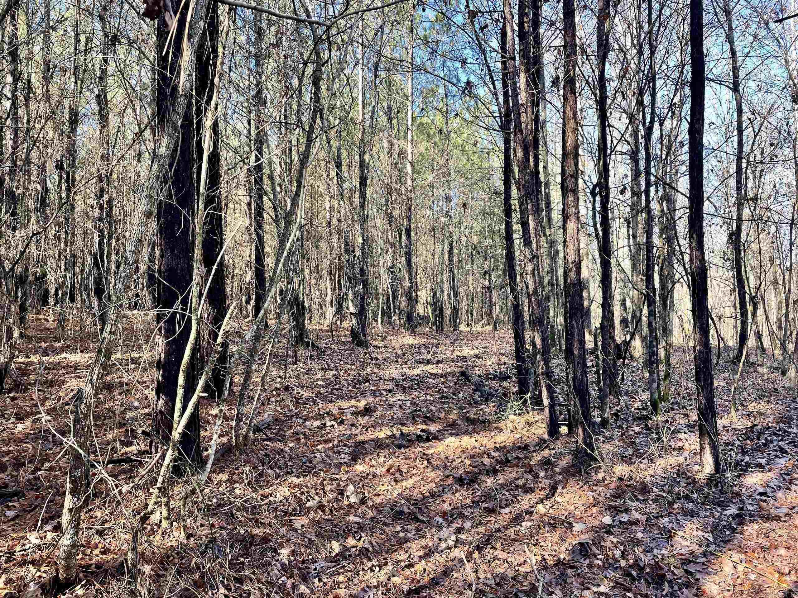 Not in Subdivision - Land