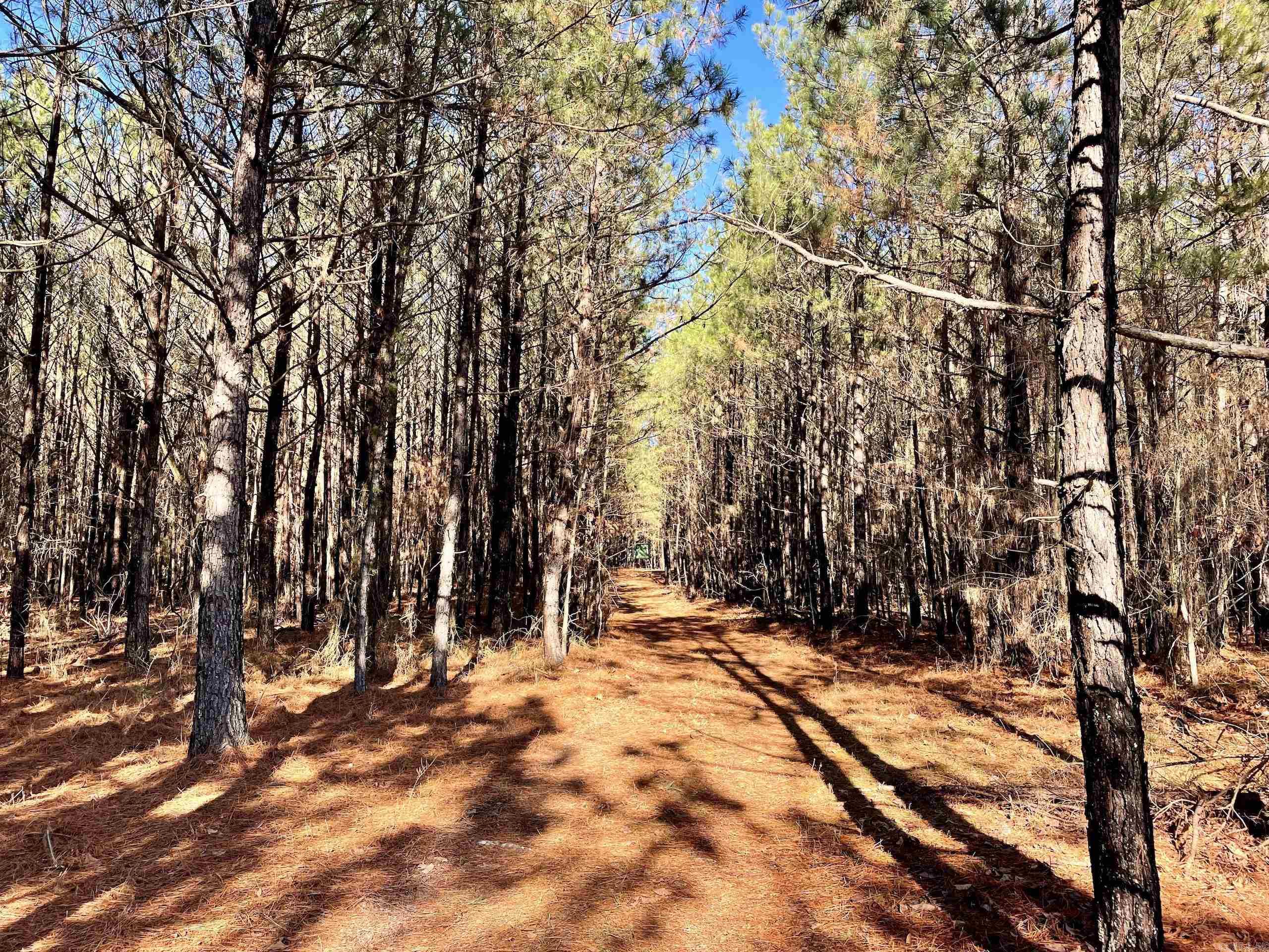 Not in Subdivision - Land