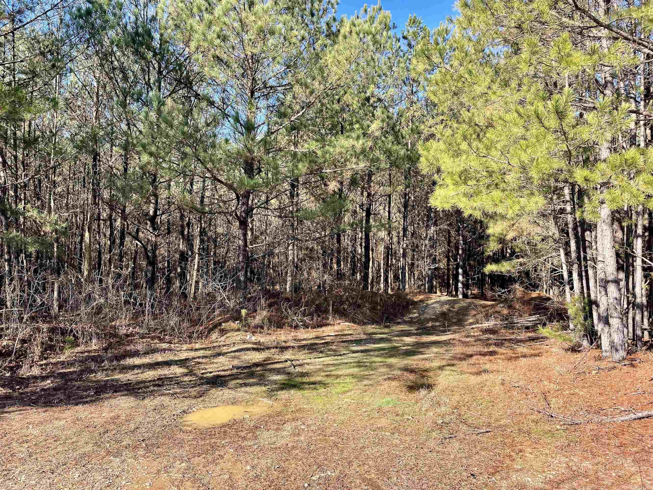 Not in Subdivision - Land