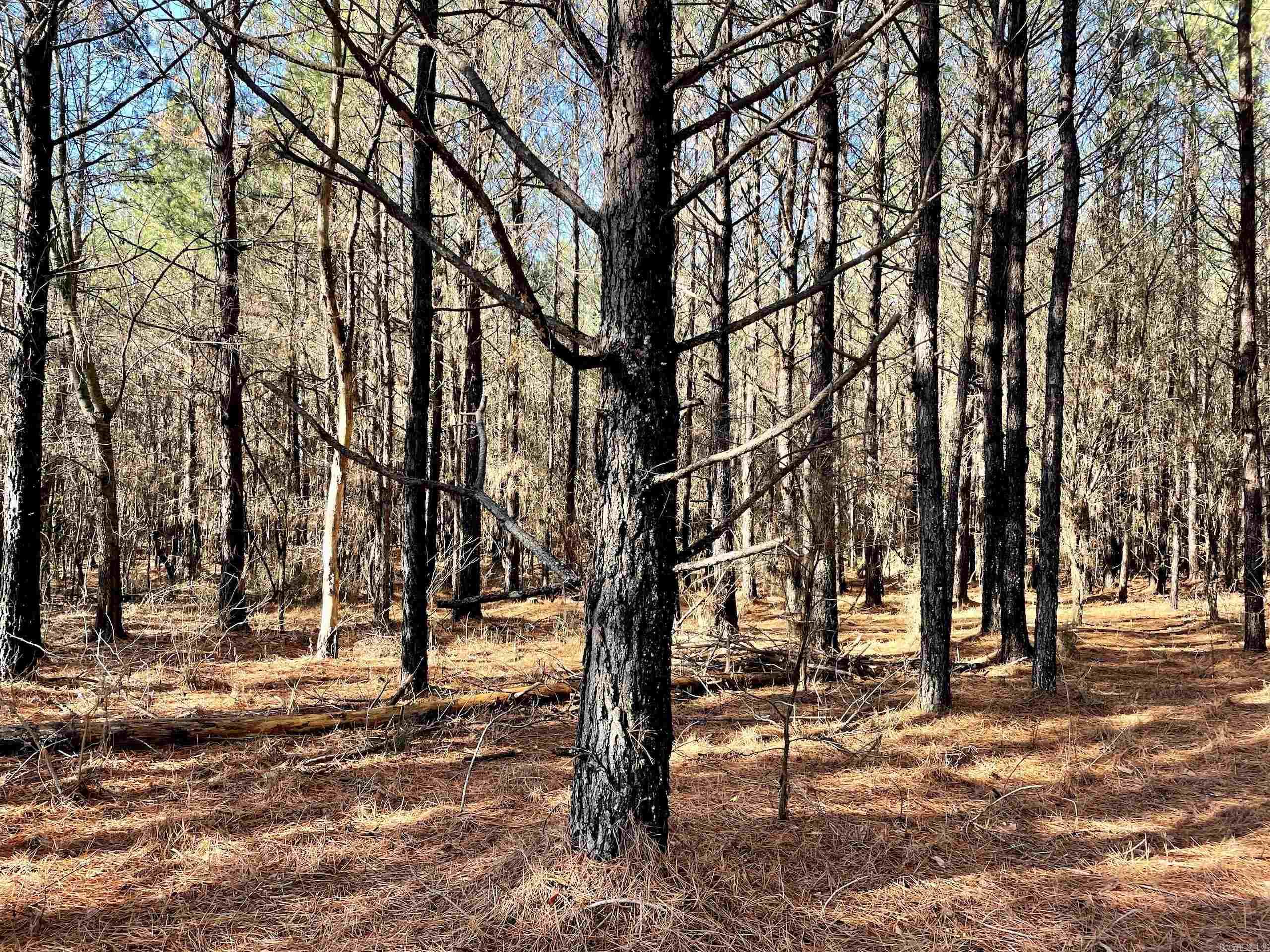 Not in Subdivision - Land