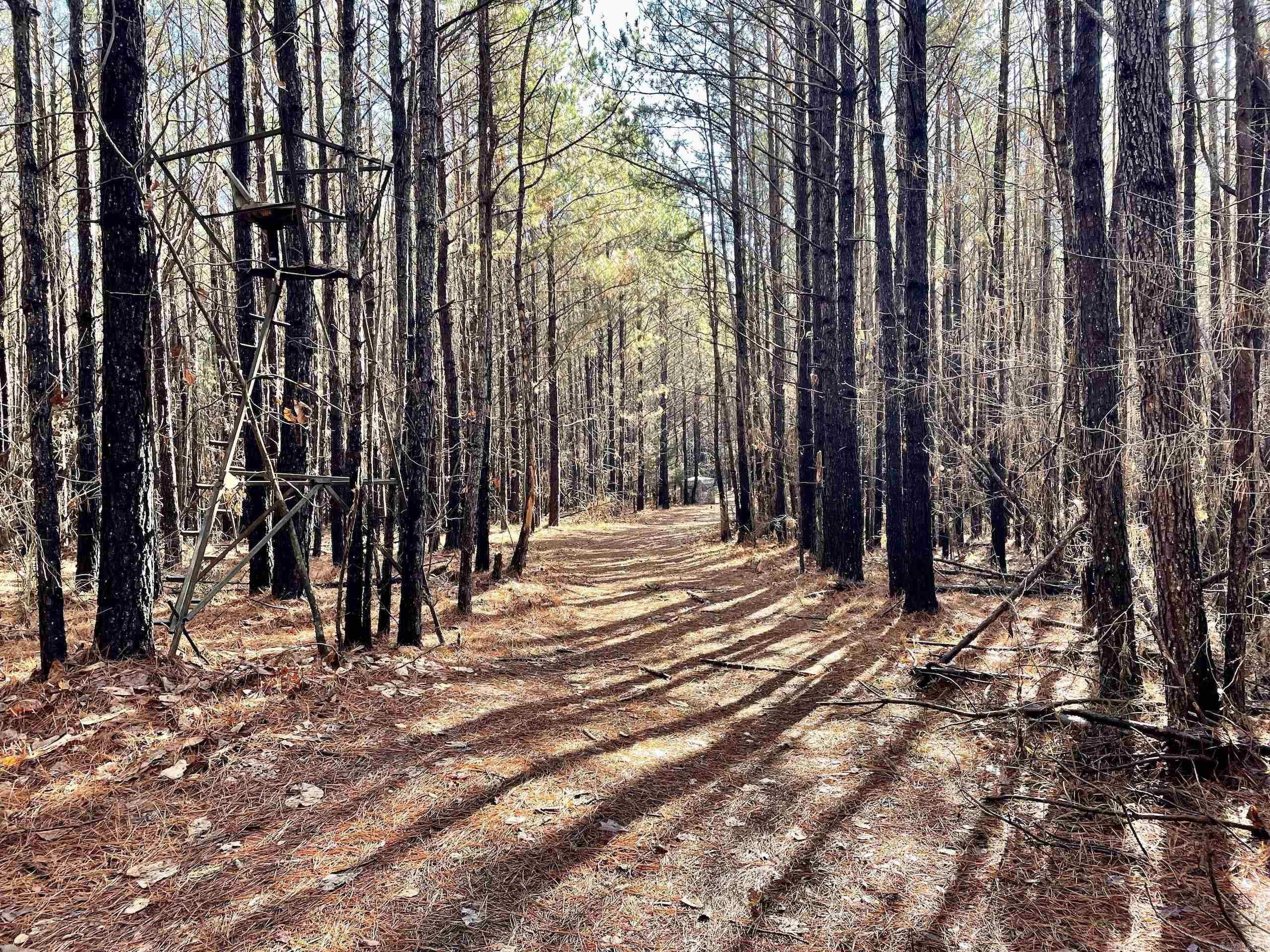 Not in Subdivision - Land