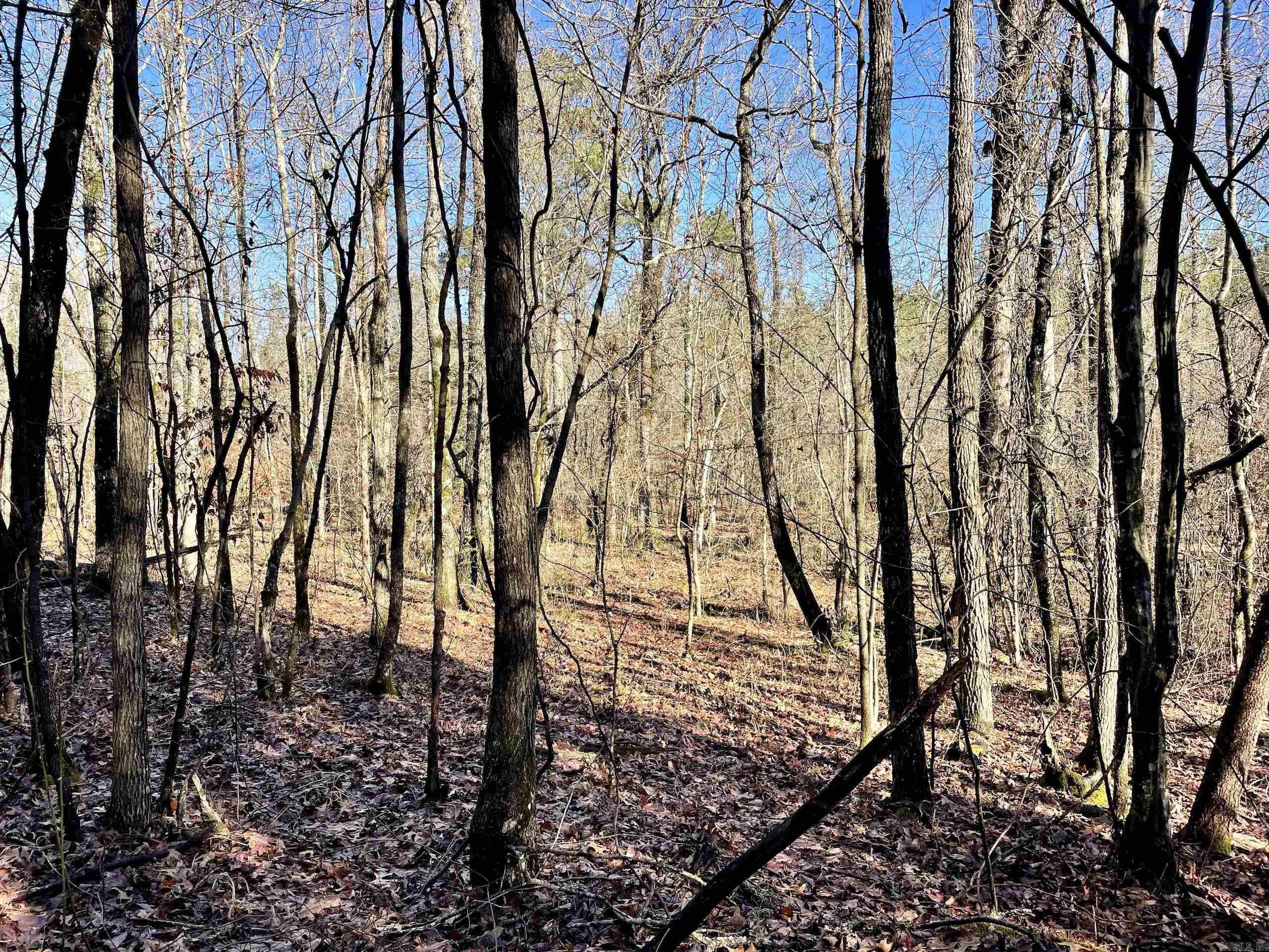 Not in Subdivision - Land