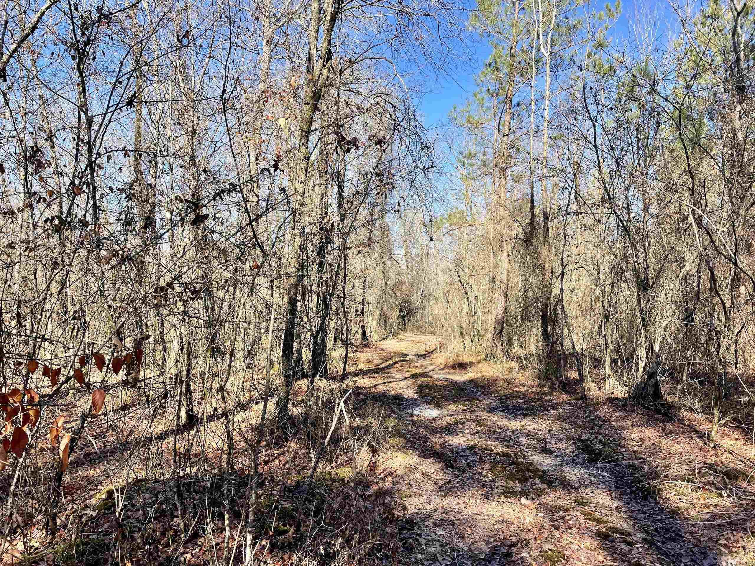 Not in Subdivision - Land