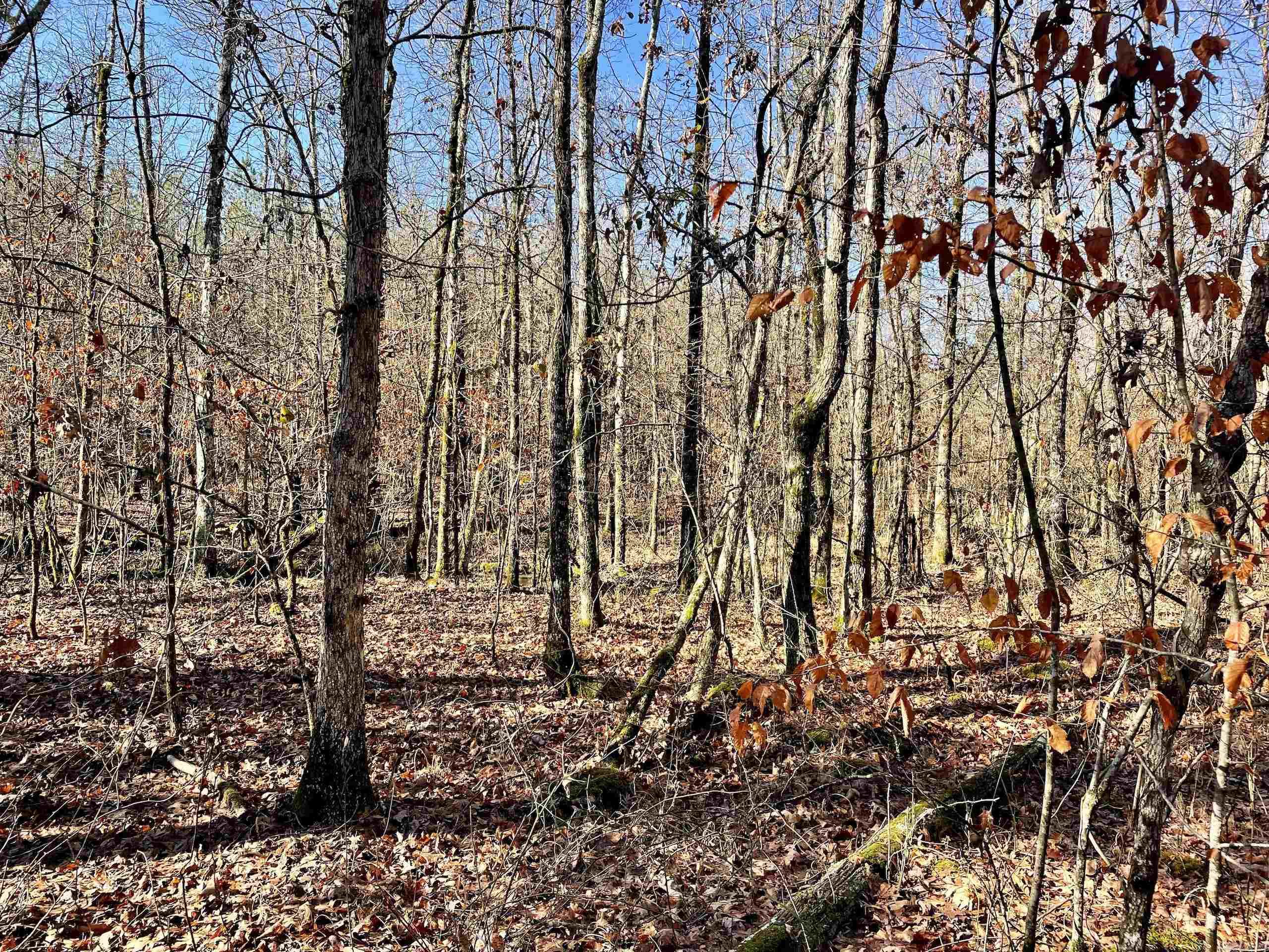 Not in Subdivision - Land