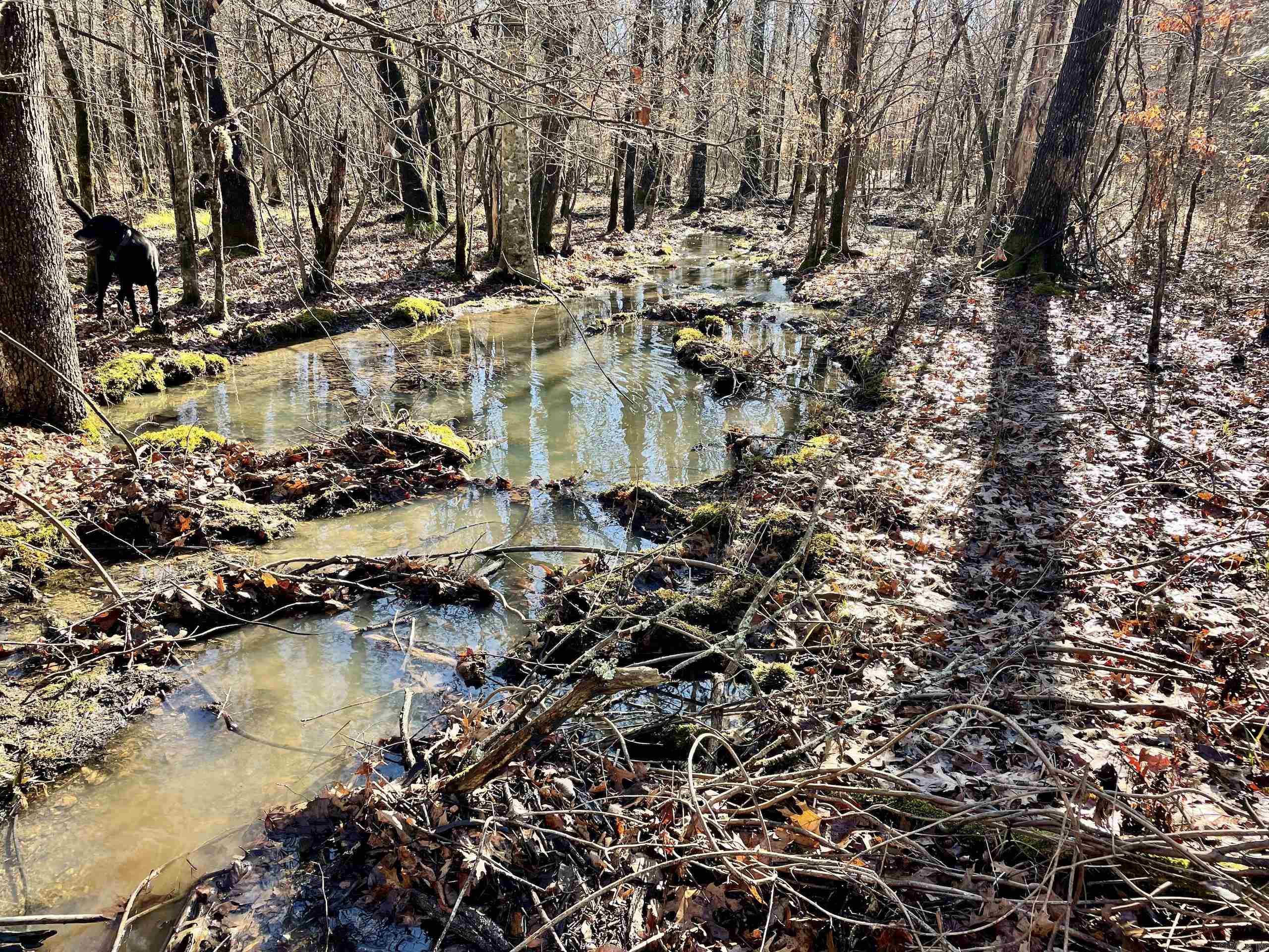 Not in Subdivision - Land