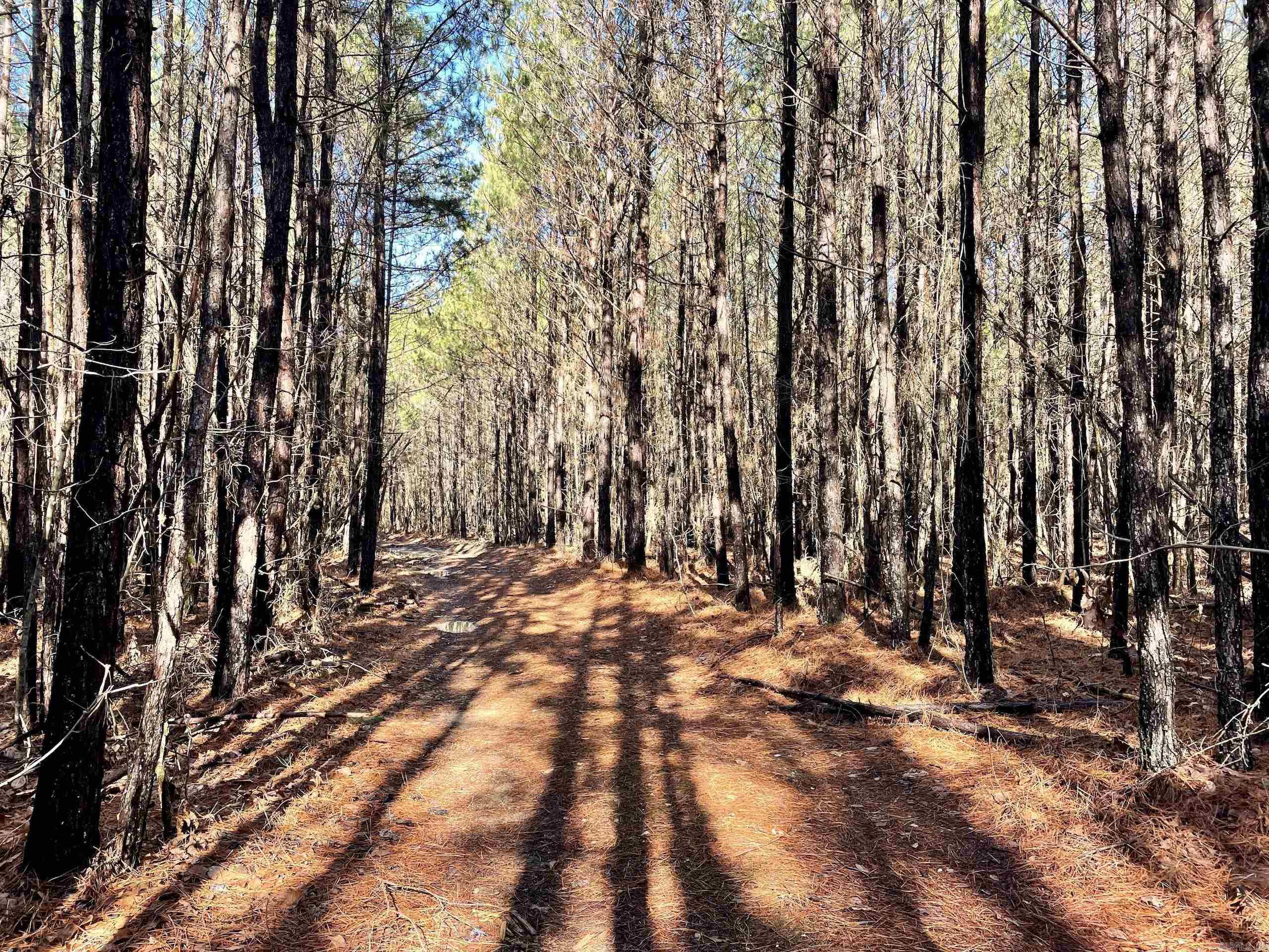 Not in Subdivision - Land