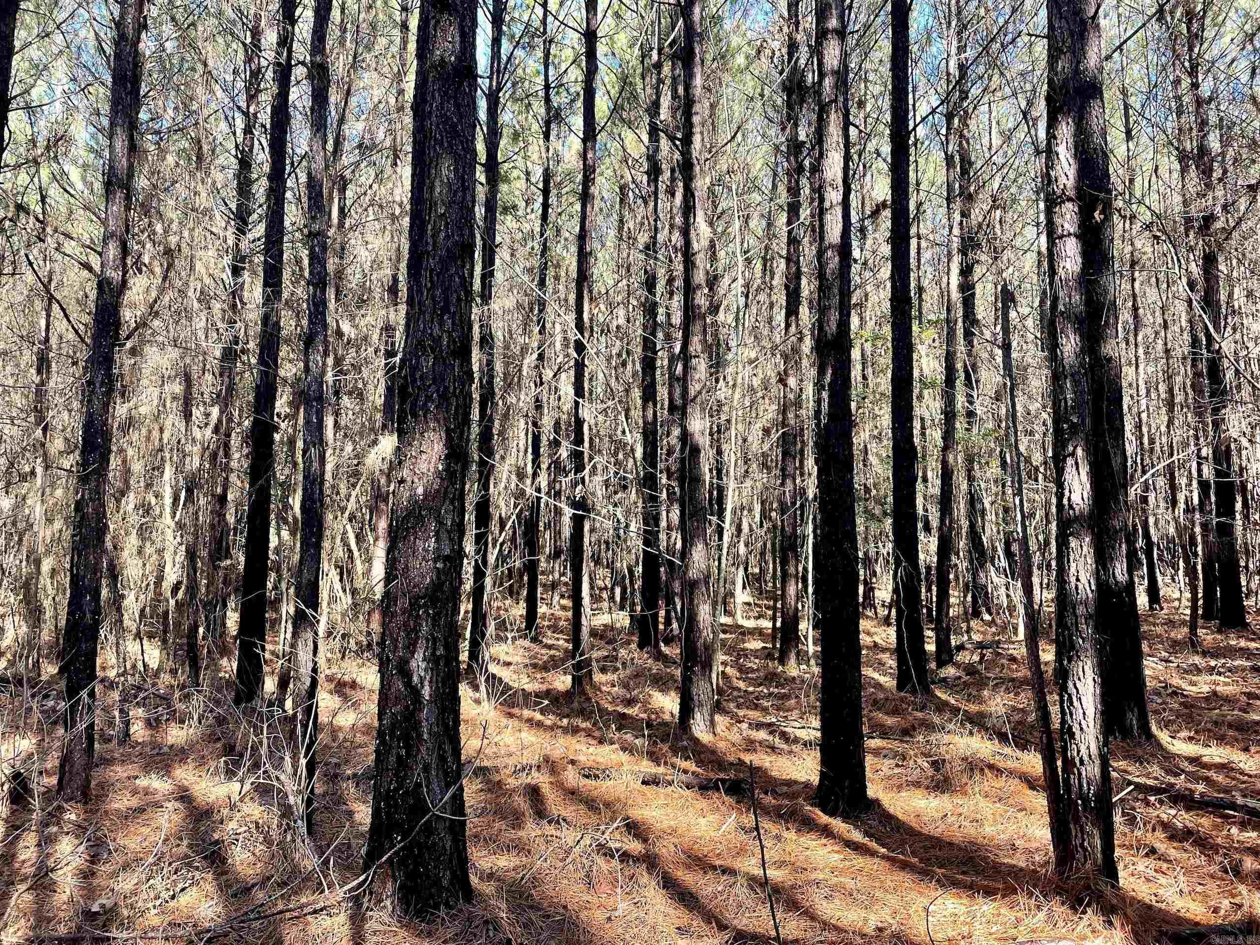 Not in Subdivision - Land