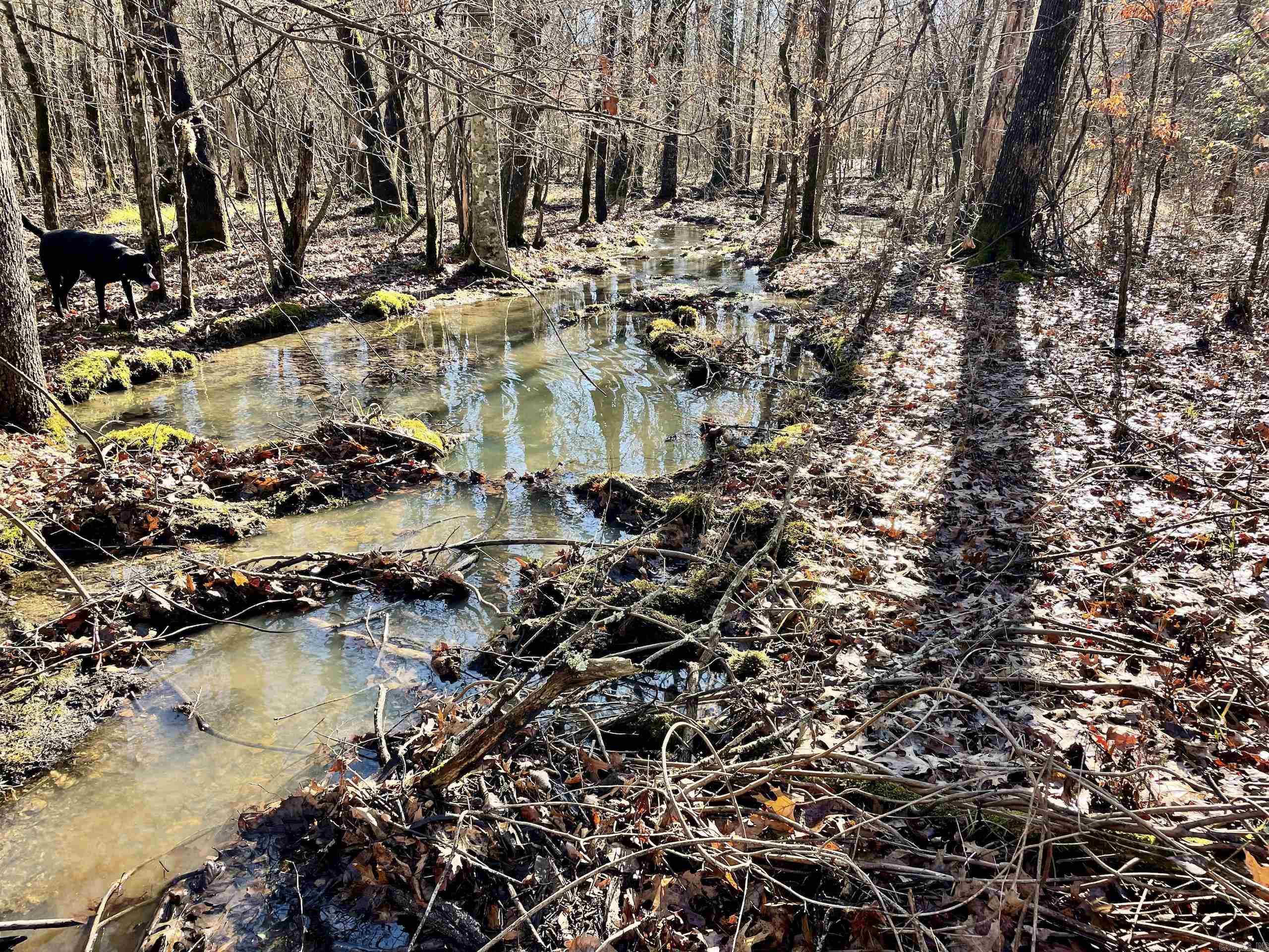 Not in Subdivision - Land