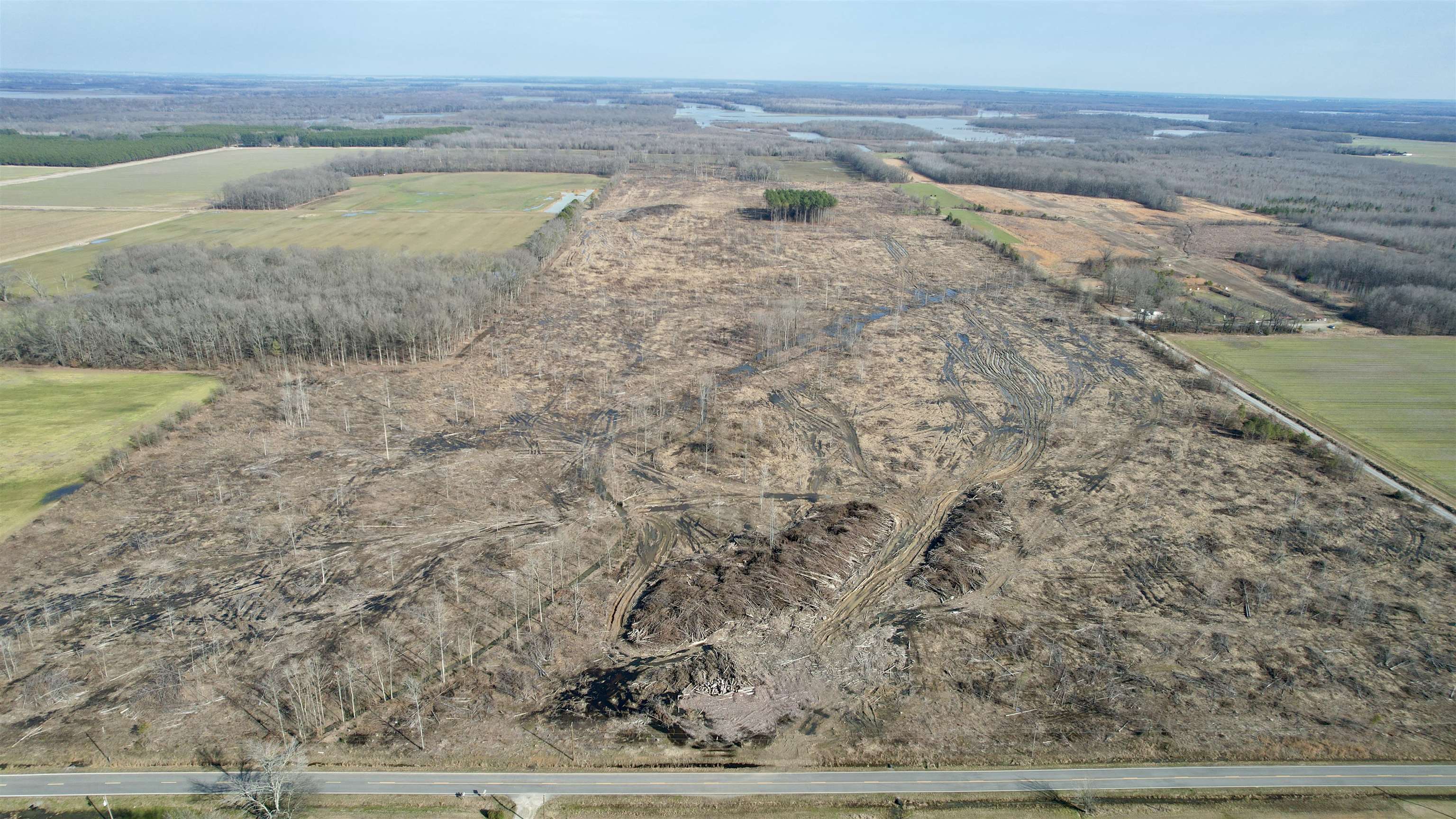 This 120 acre +/- freshly cut pine timber tract sits on the edge of the White River bottoms. Finding a tract the size and price range as the Rio Vista Cutover is difficult to say the least. This place has great access via paved road, is not encumbered by any programs, and has access to utilities. Its neighboring proximity to the White River bottoms provides immediate high ground for deer and other game seeking refuge from rising flood waters. Like a blank canvas, it's the perfect time to implement a plan for trails going to and from new food plot locations. The new owner could do nothing and let the timber regeneration run its course, or could have it planted back into pine plantation where you could enjoy great hunting while your investment and the trees grow simutaneously. The place is ready to hunt like it is but if you have an itch to really develop and manage the wildlife, this one will accommodate you very well. Give us a call and let us show you around.