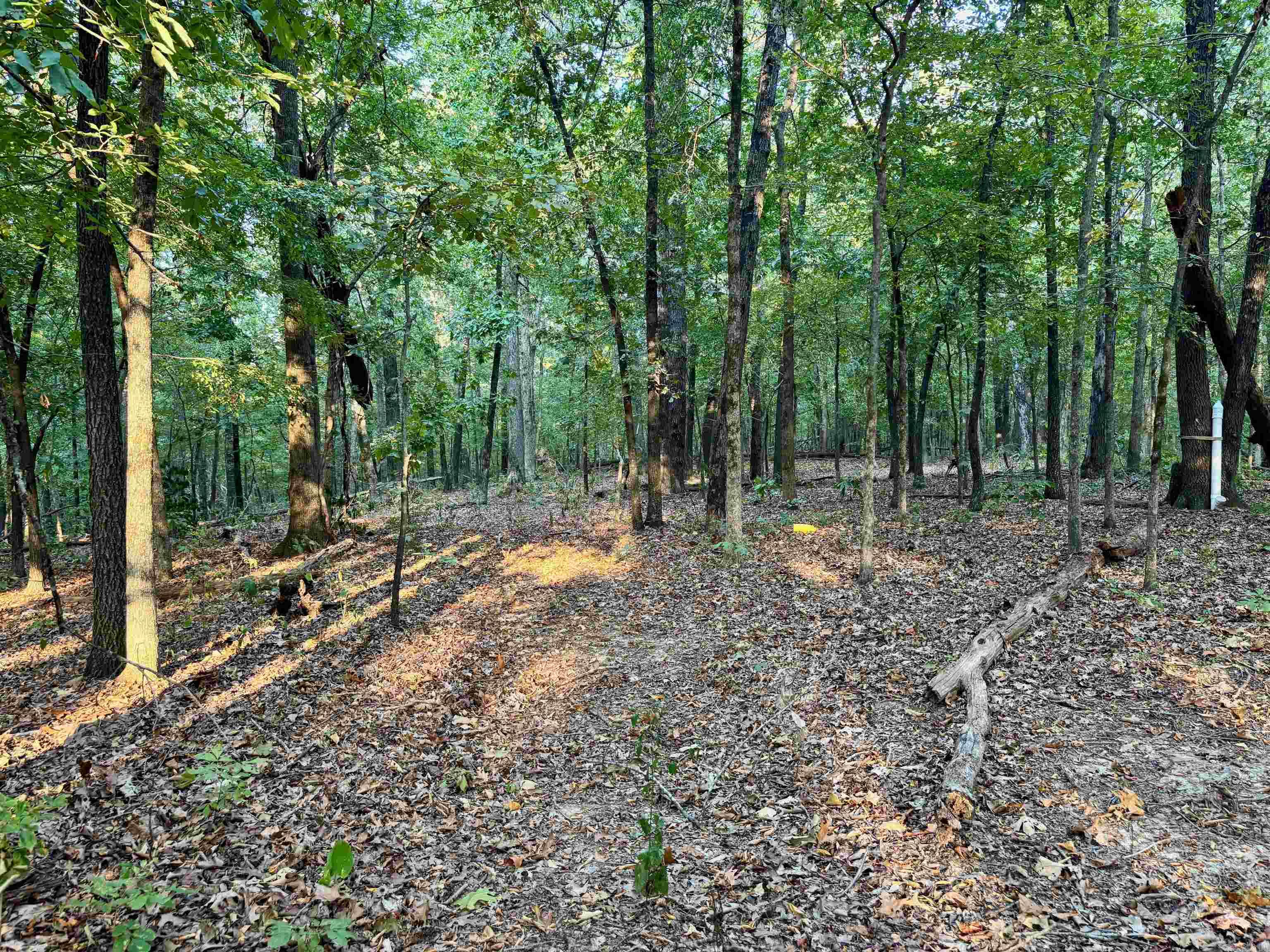 MCJOHN SUBDIVISION - Residential