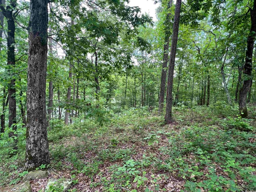 PRICE REDUCED on this Stunning lakefront lot available for sale in Fairfield Bay on Greers Ferry Lake, one of Arkansas's most sought-after locations! This beautiful property is located in Van Buren County, offering breathtaking views of the surrounding natural beauty. This prime piece of real estate boasts a 1/3 acre lot size with plenty of space to build your dream lakefront home or vacation getaway. The lot is surrounded by mature trees, providing natural shade and privacy. For those who have been searching for an affordable lakefront lot on Greers Ferry Lake in Van Buren County, Arkansas, this completely wooded, vacant lot may be the one for you! The lot is relatively flat along the paved Lakeside Drive, making it very buildable. The rear of the lot slopes down to the waters edge. Fairfield Bay is a charming and vibrant community that offers a host of amenities, including golf courses, swimming pools, tennis courts, hiking trails, and more. Residents enjoy a relaxed lifestyle with access to all the modern conveniences and services they need. This is a rare opportunity to own a piece of paradise in one of the most desirable locations in Arkansas.