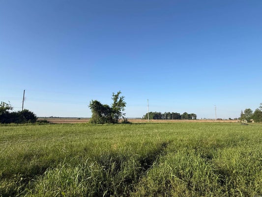 LOCKWOOD DR, CORNING, AR 72422 - Image 65a564e14a9d6180ccec108ea76e7ca8/543577506