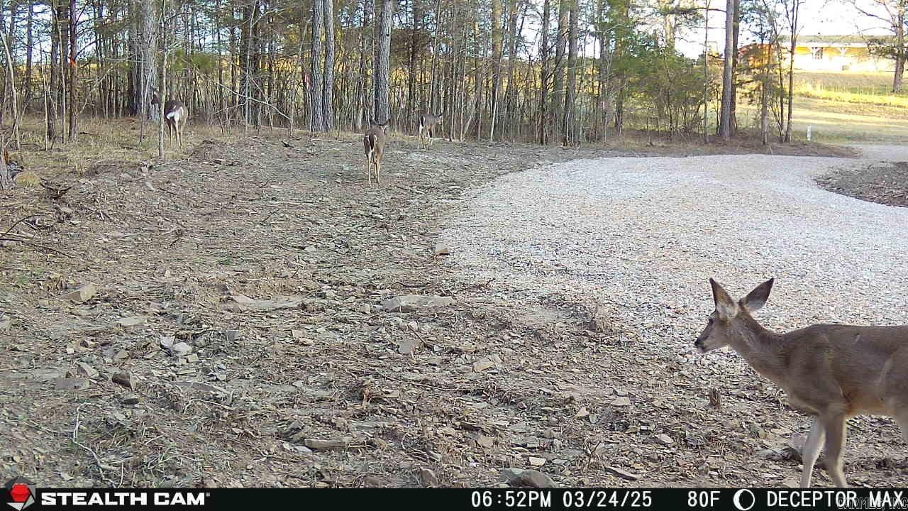 Metes & Bounds - Land