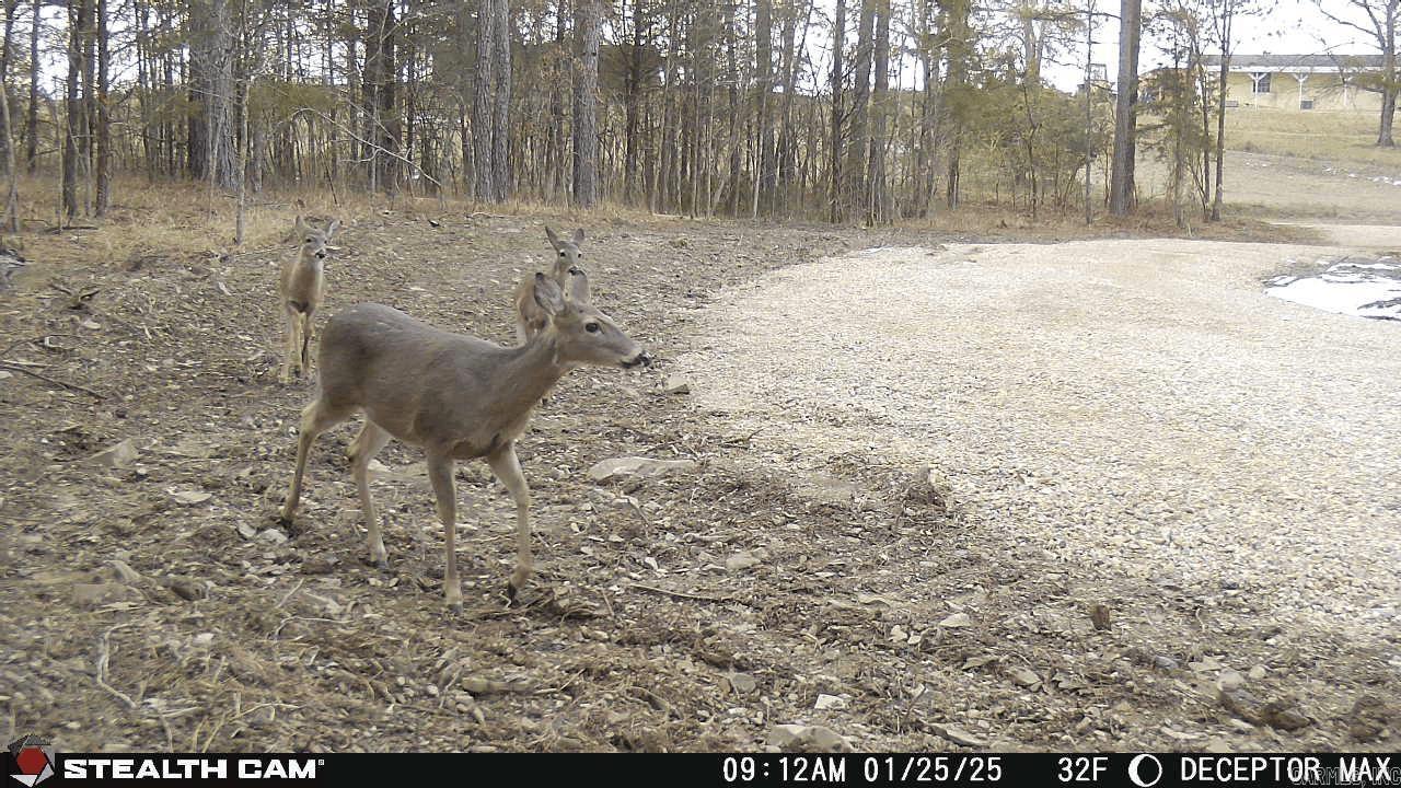 Metes & Bounds - Land