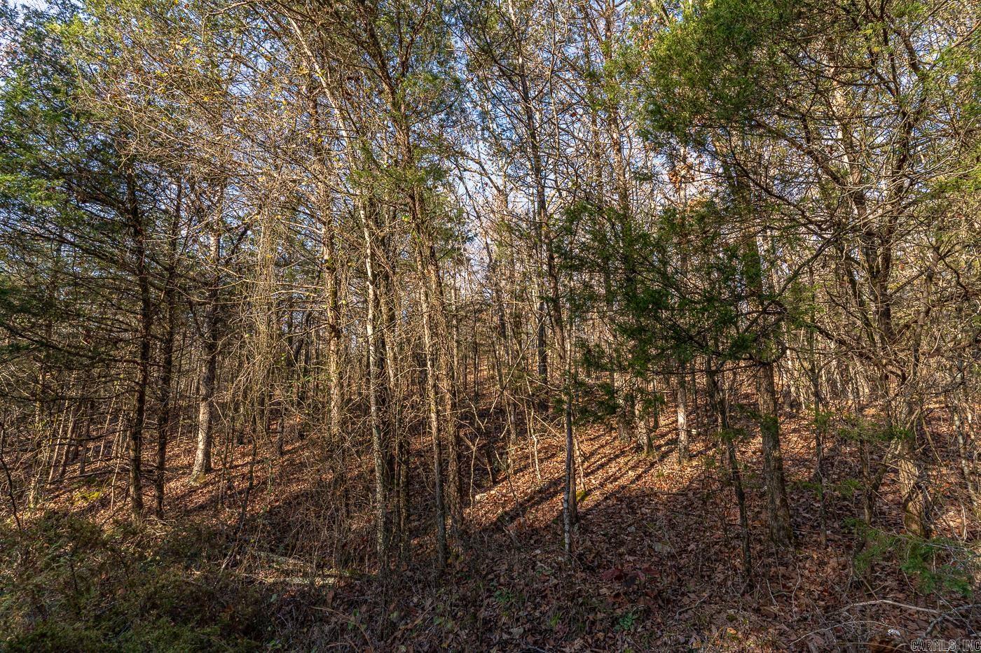 BELL FOLEY ESTATES - Land