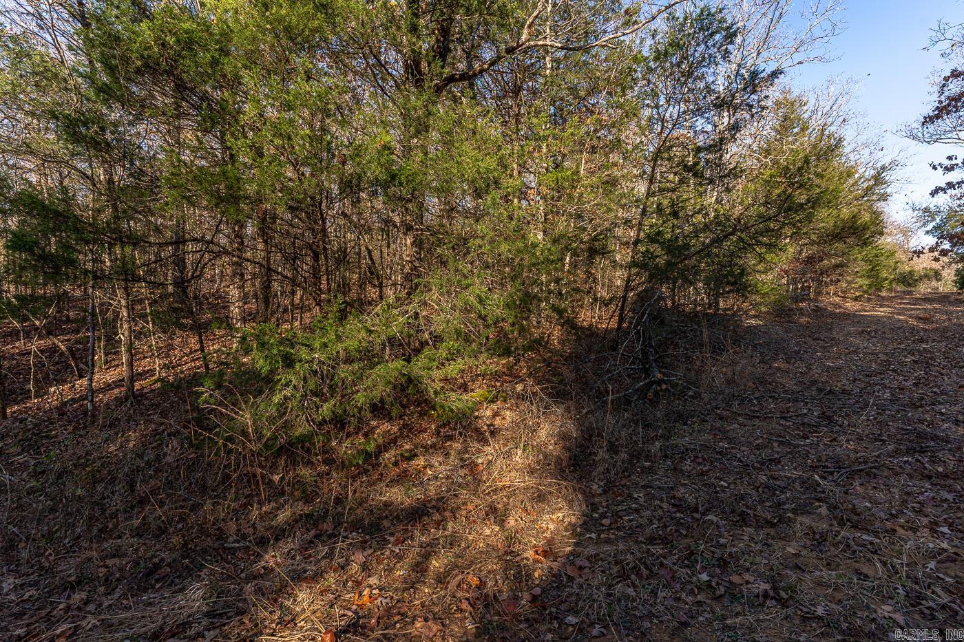 BELL FOLEY ESTATES - Land