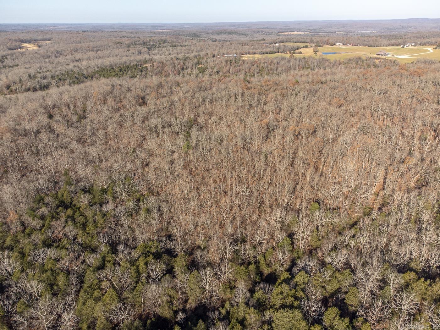 BELL FOLEY ESTATES - Land