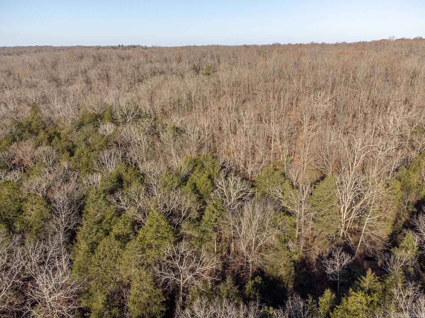 BELL FOLEY ESTATES - Land