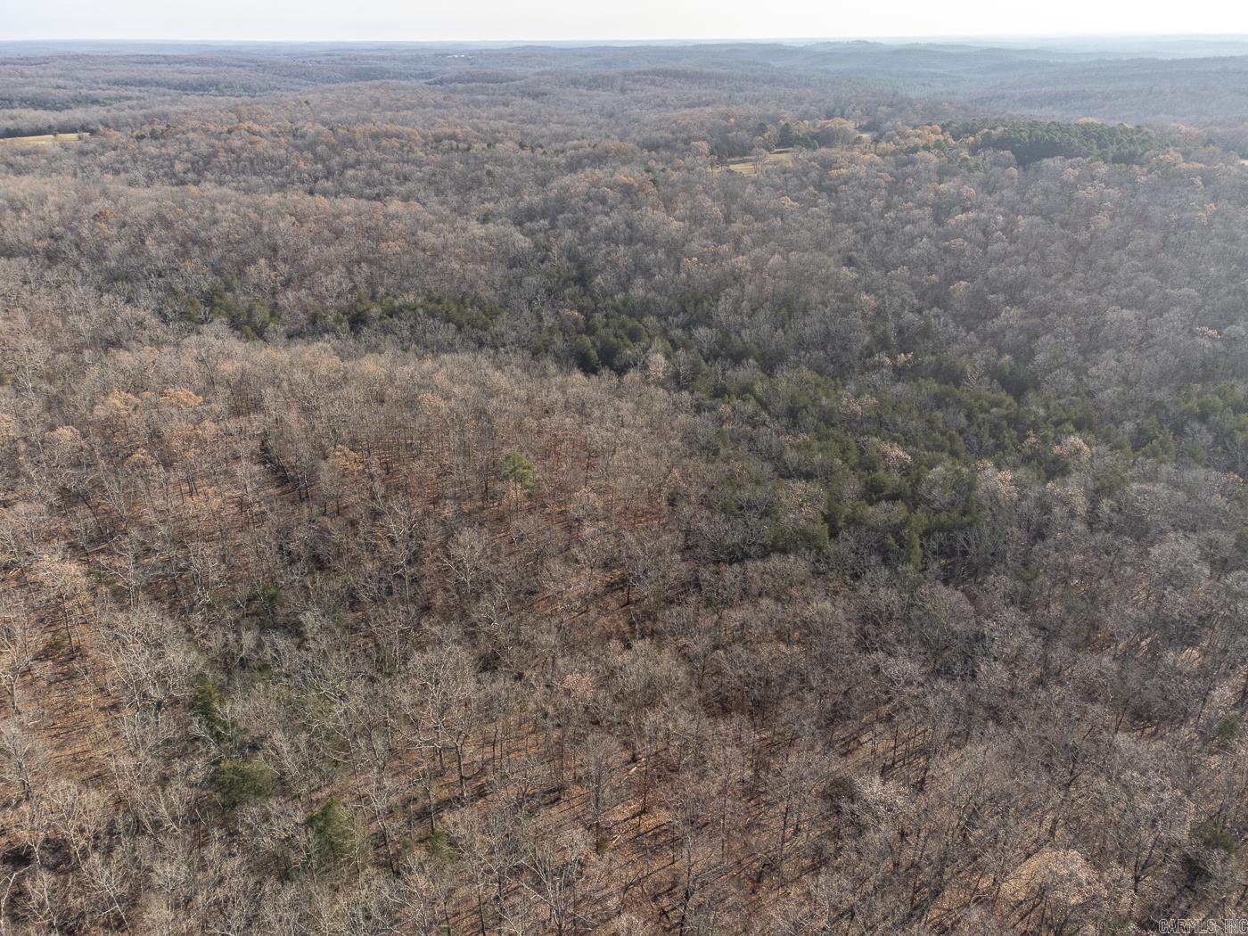 BELL FOLEY ESTATES - Land