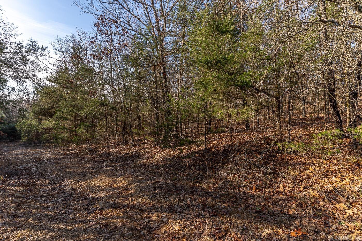 BELL FOLEY ESTATES - Land