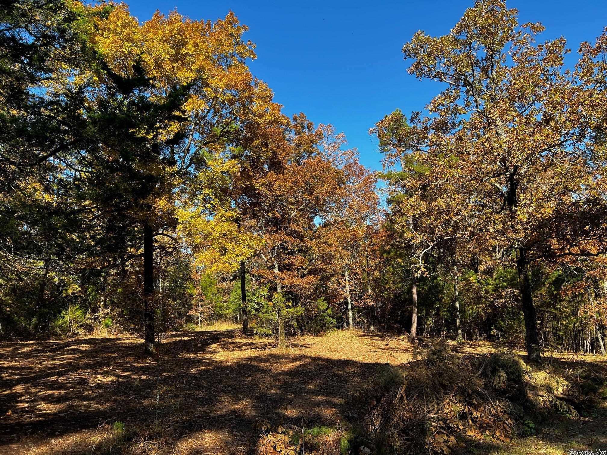 Little Red River Estates - Land