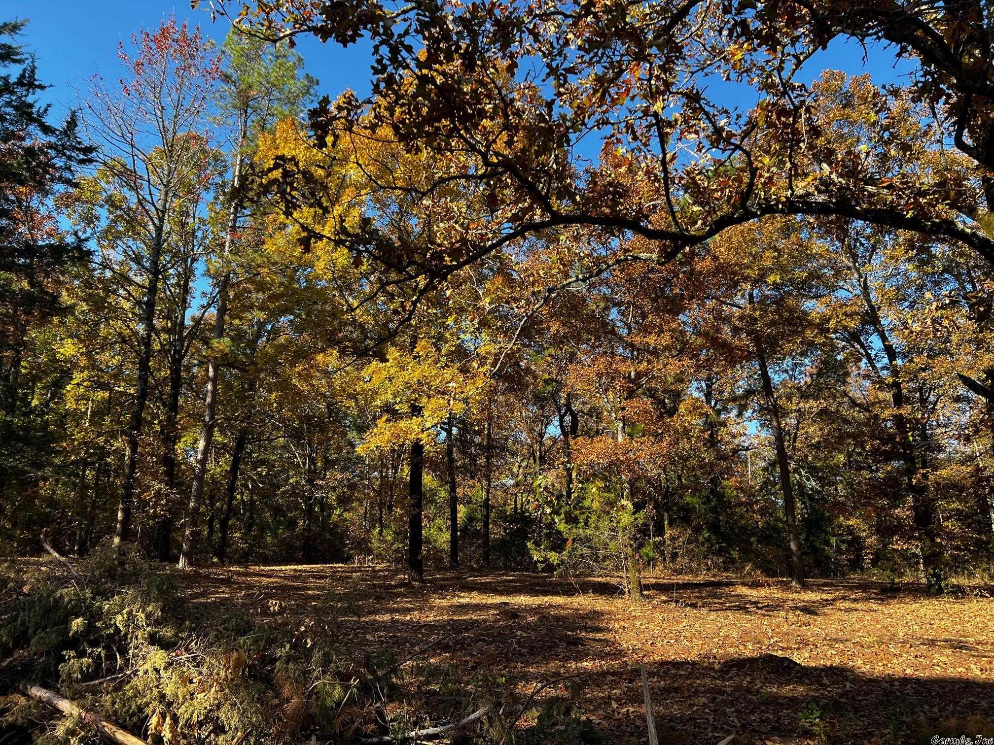 Little Red River Estates - Land