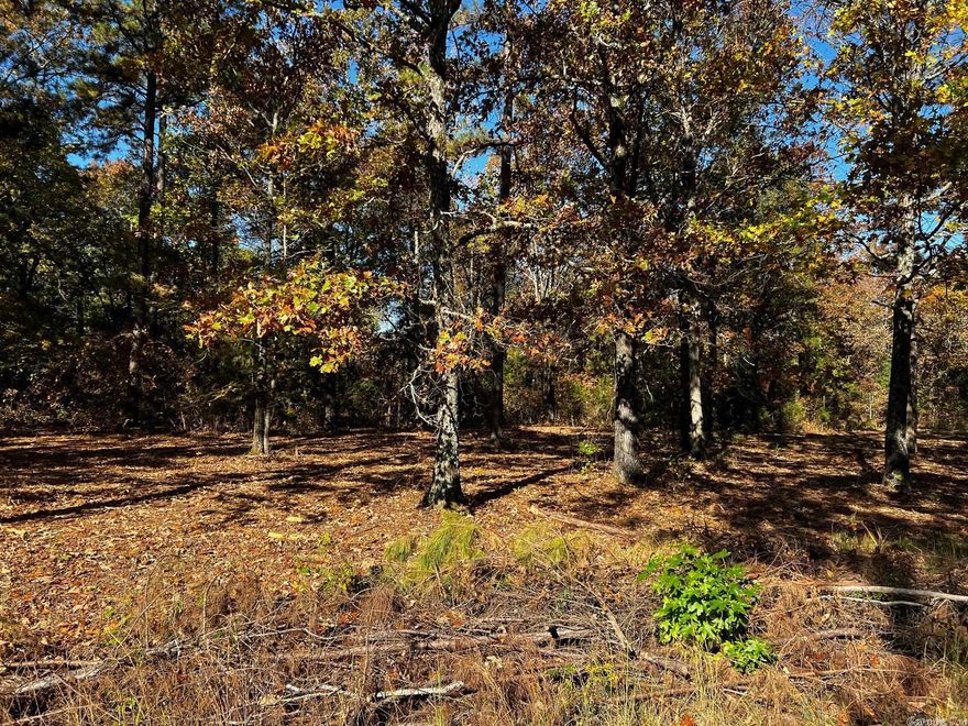 One of the few lots available in Little Red River Estates situated above the Little Red River just North of the Searcy city limits. The lot has been cleared of underbrush and is ready to be built on and sits toward the end of a undeveloped culdesac. Utilities are available at the property. It doesn't get much prettier or more quiet than this.