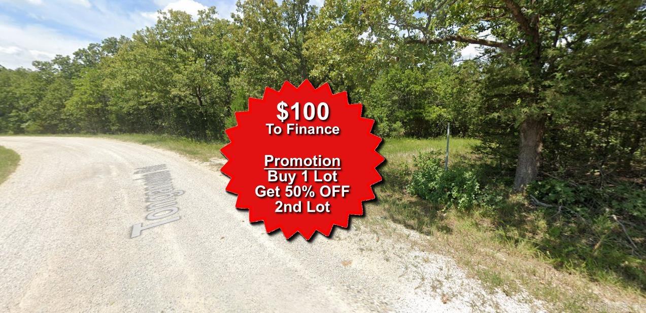 Buy one lot and get 50% off an additional lot! Owner-finance for easy terms. Cash buyers can pay by debit or credit card as well. Nice lot to develop or hold for future value. Public water and electric are available to run to property and will need septic. Owner/agent. No mobiles allowed. 300-2500 minimum build size on any other type of home, depending on subdivision. Finance is $100 down and 10 months at $99 and closing costs are included. Lots marked with red banner are part of promotion. No limit on lots. Buyer responsible for any/all taxes and lots sold "as-is". Quit claim deed conveys. Parcel ID# 235-14958-000