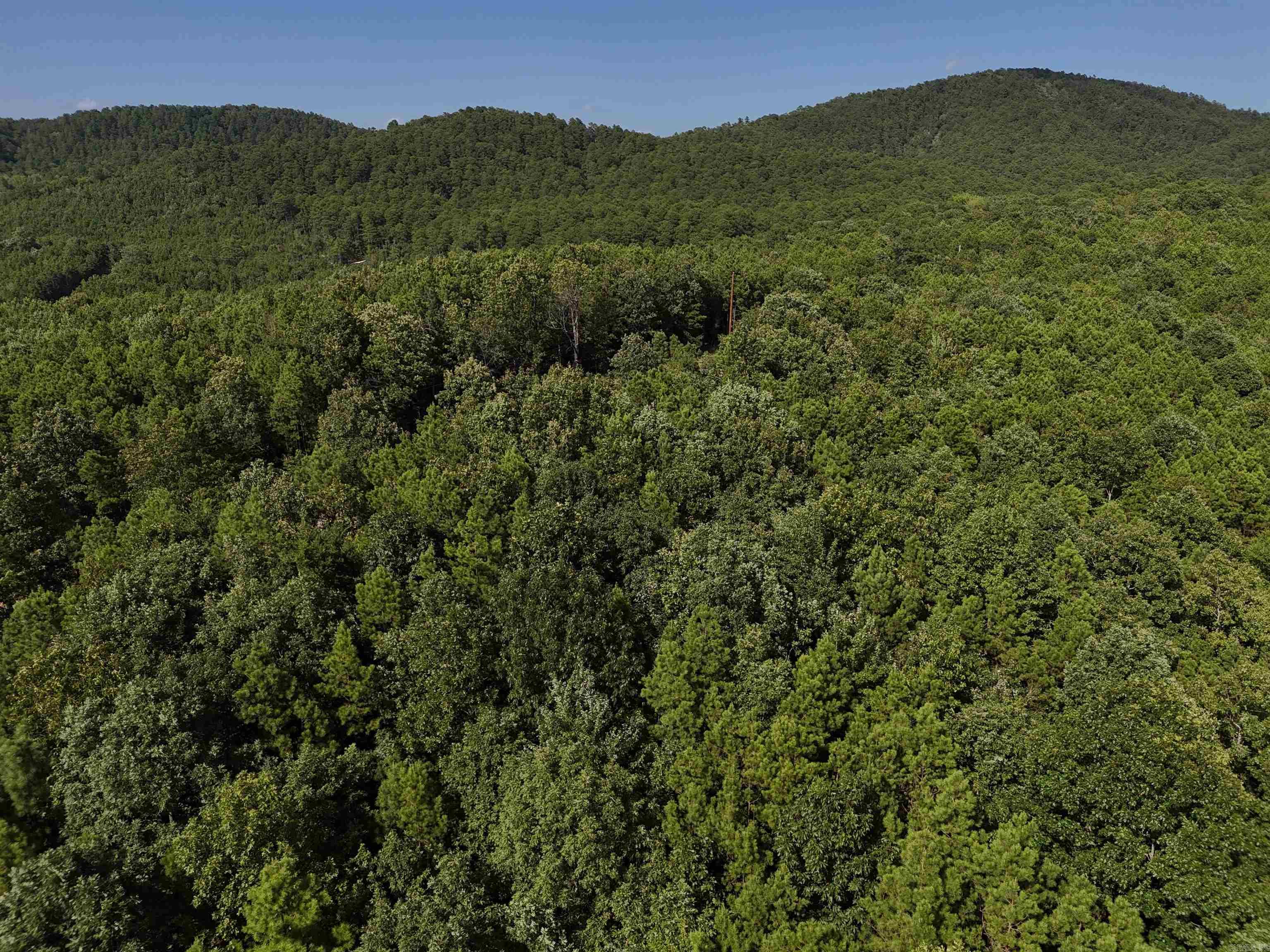 5.392 wooded acres - just waiting for you to build your dream home in the beautiful Rustic Ridge Subdivision! Enjoy mountain views, peaceful surroundings, wildlife, and a great location just minutes to downtown Mena. Ride straight to the Wolf Pen Gap west trailhead which is just 12 miles away. Electric is available, and a survey is completed. This lot is a beautiful place to build, relax and explore - come take a look today!