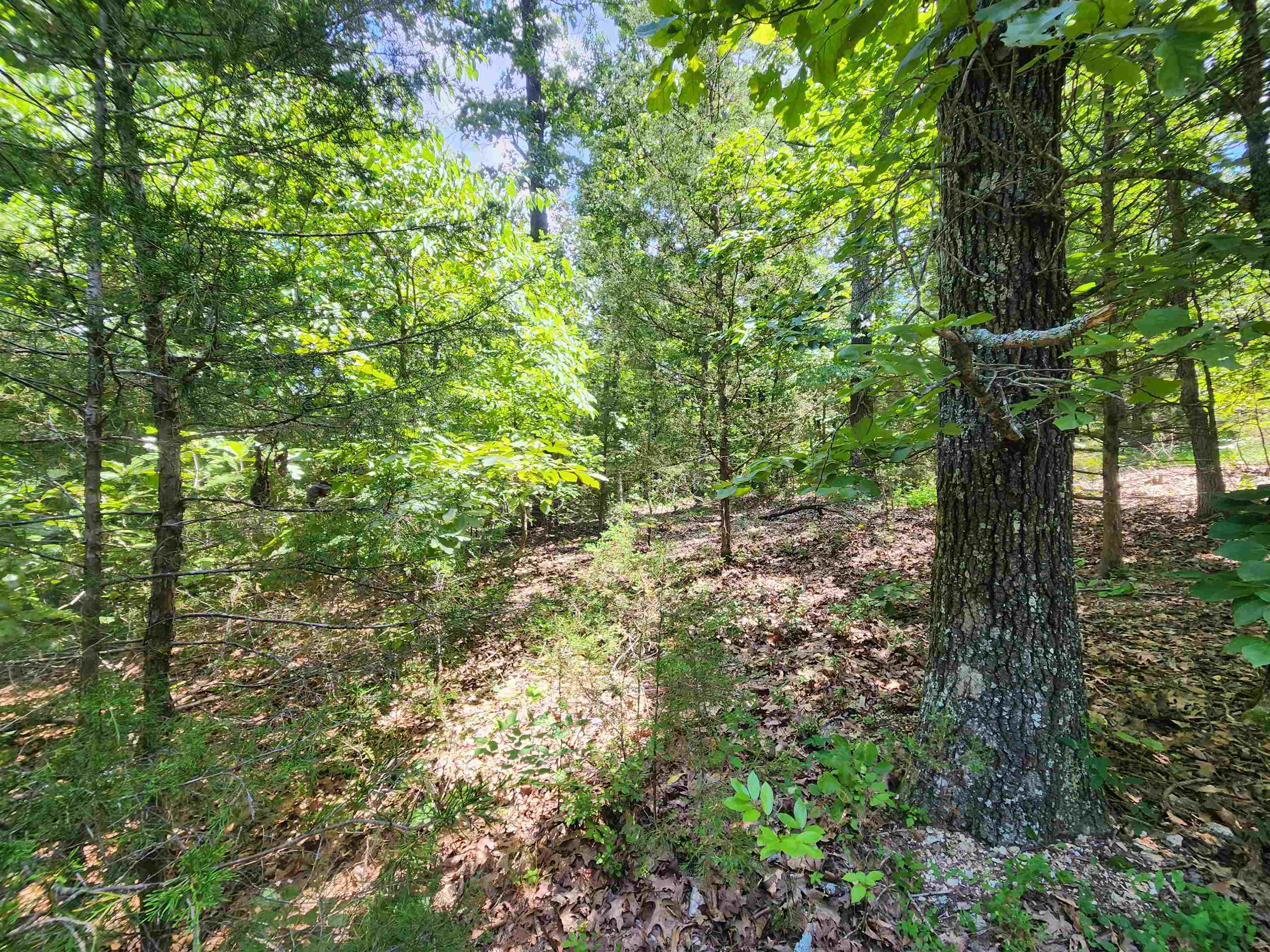 Cherokee Village - Land