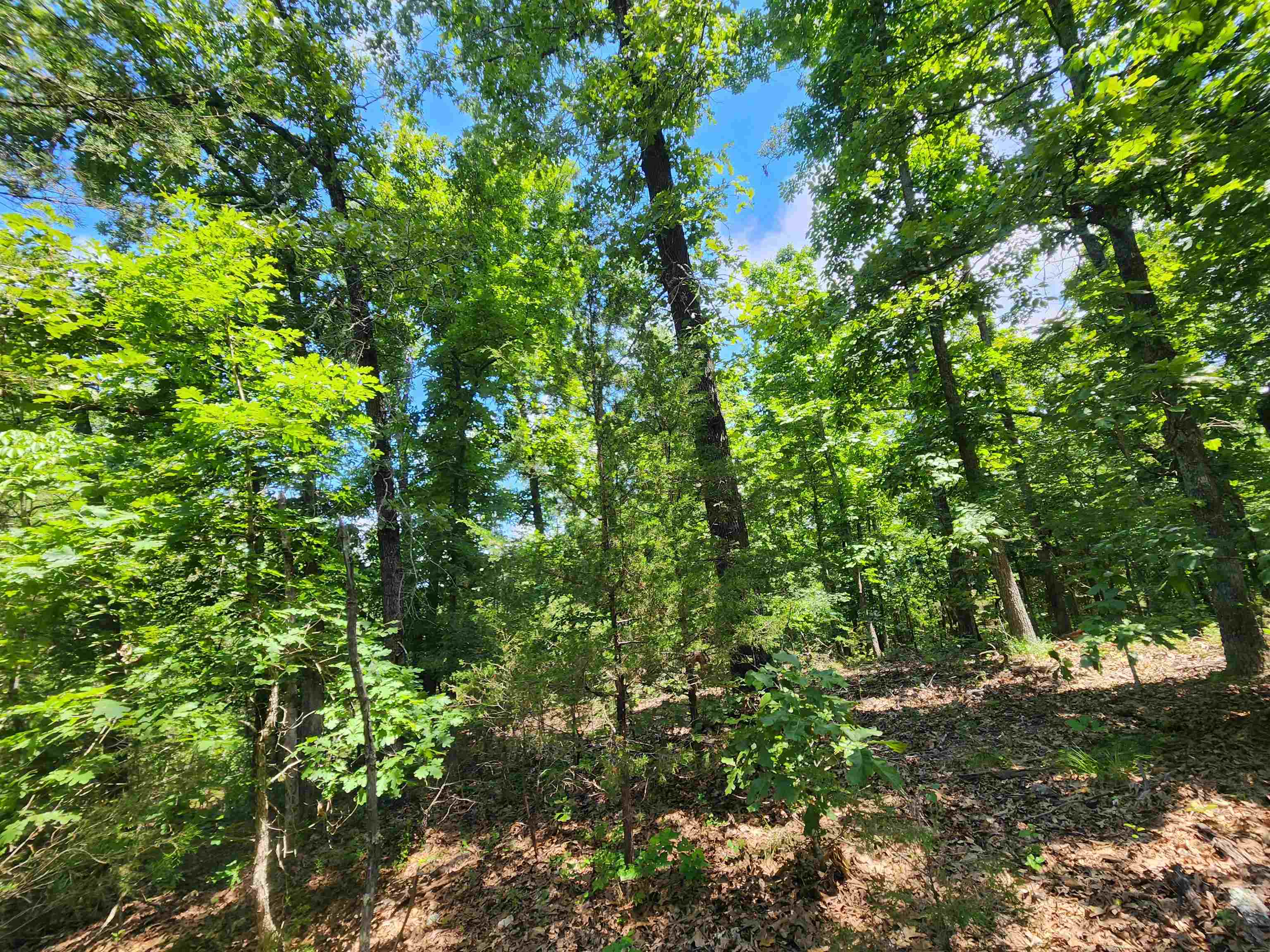 Cherokee Village - Land