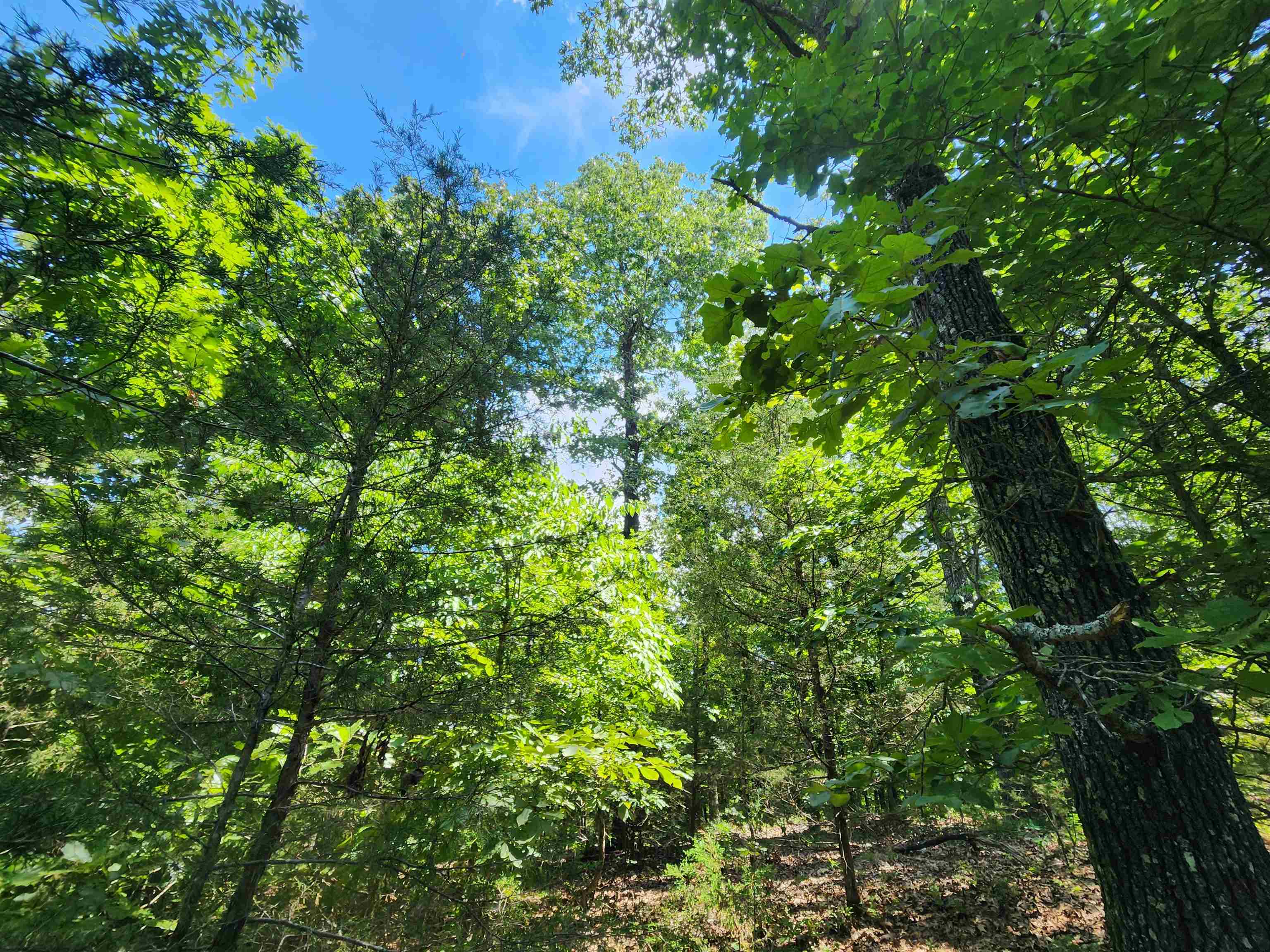 Cherokee Village - Land