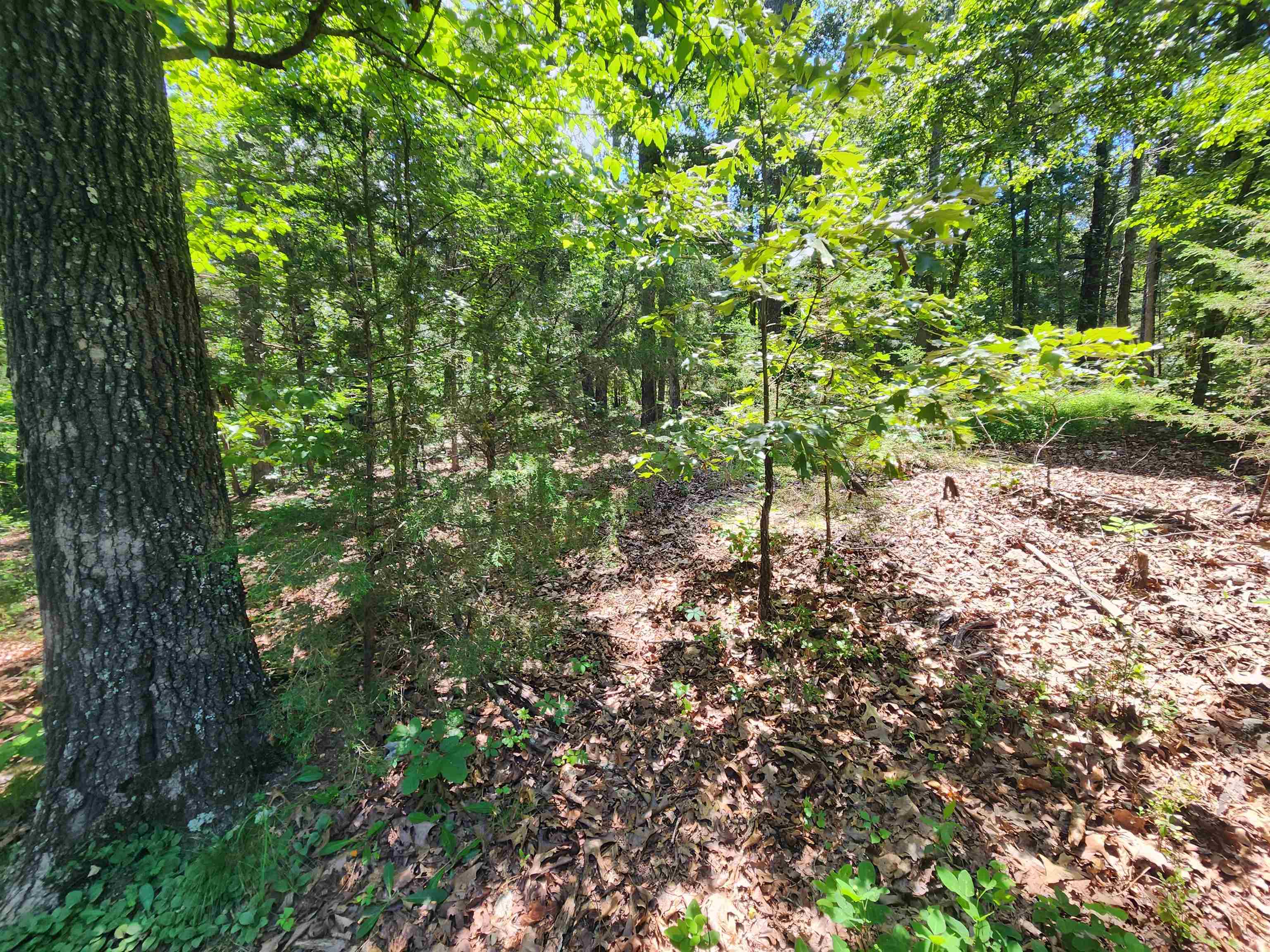 Cherokee Village - Land