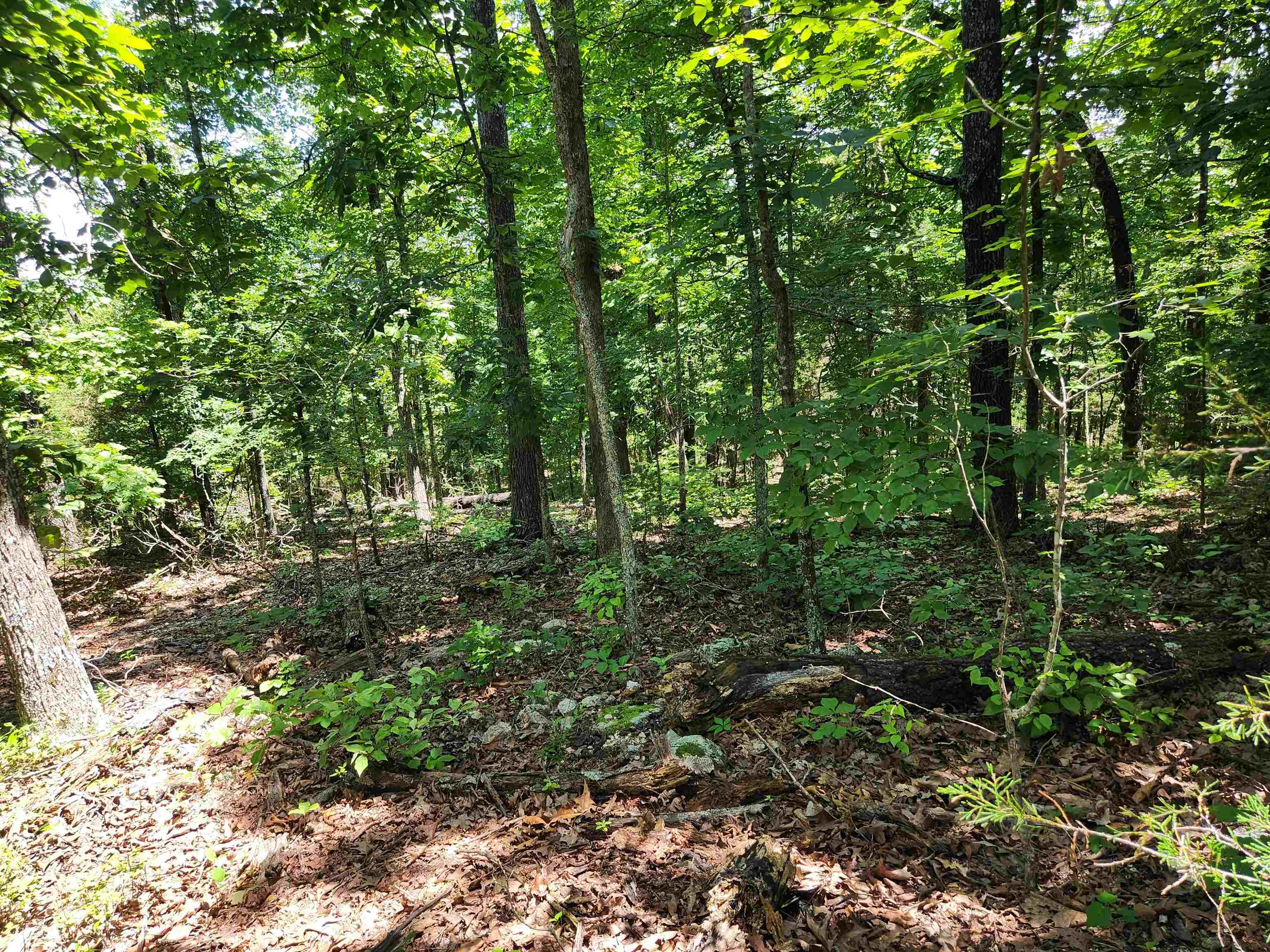 Cherokee Village - Land