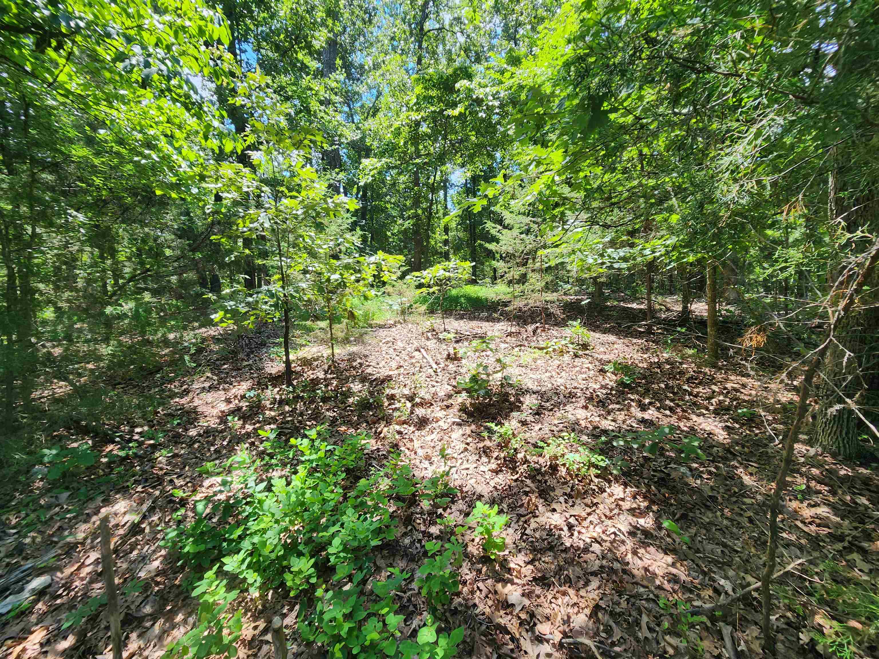 Cherokee Village - Land