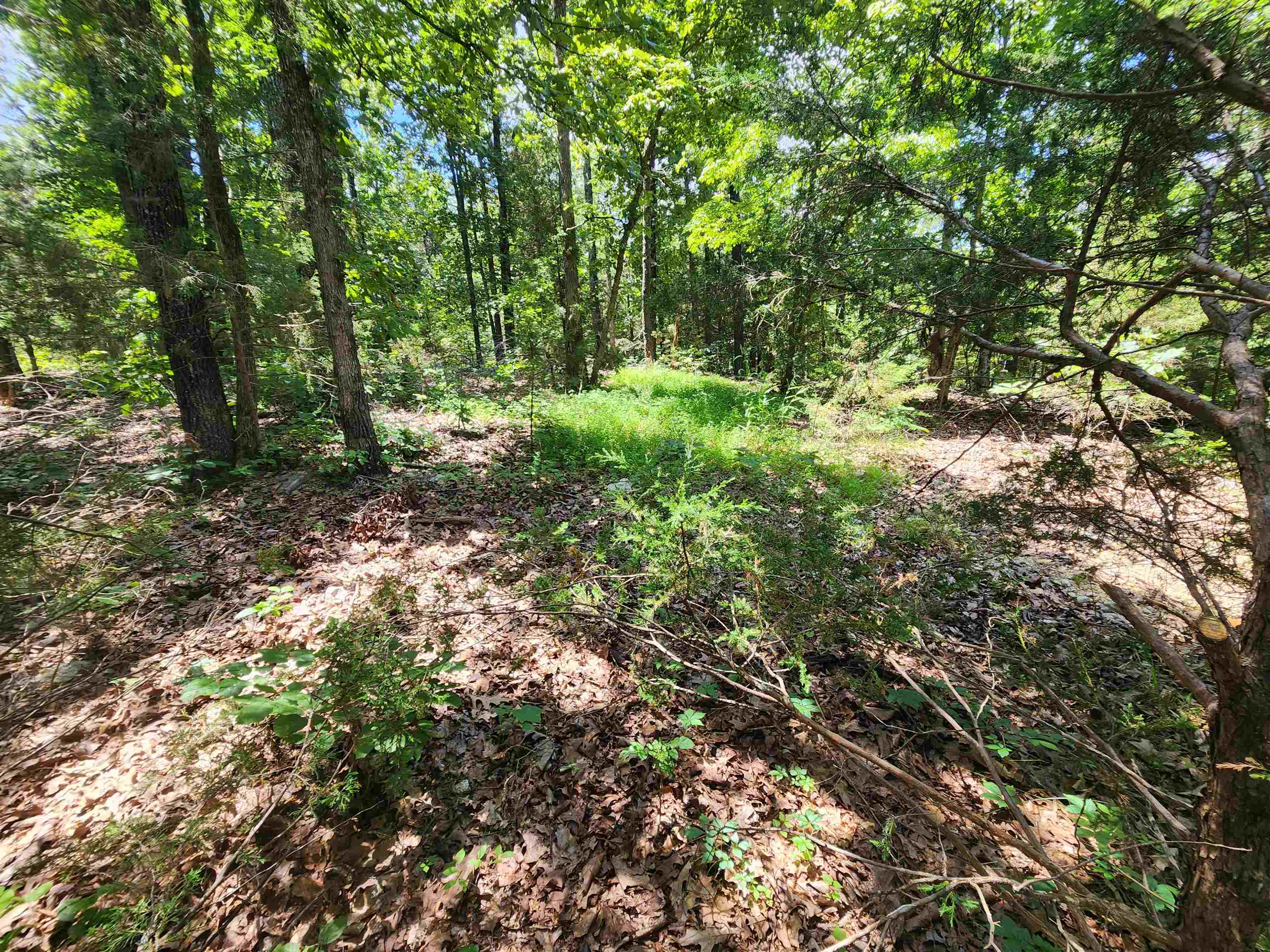 Cherokee Village - Land