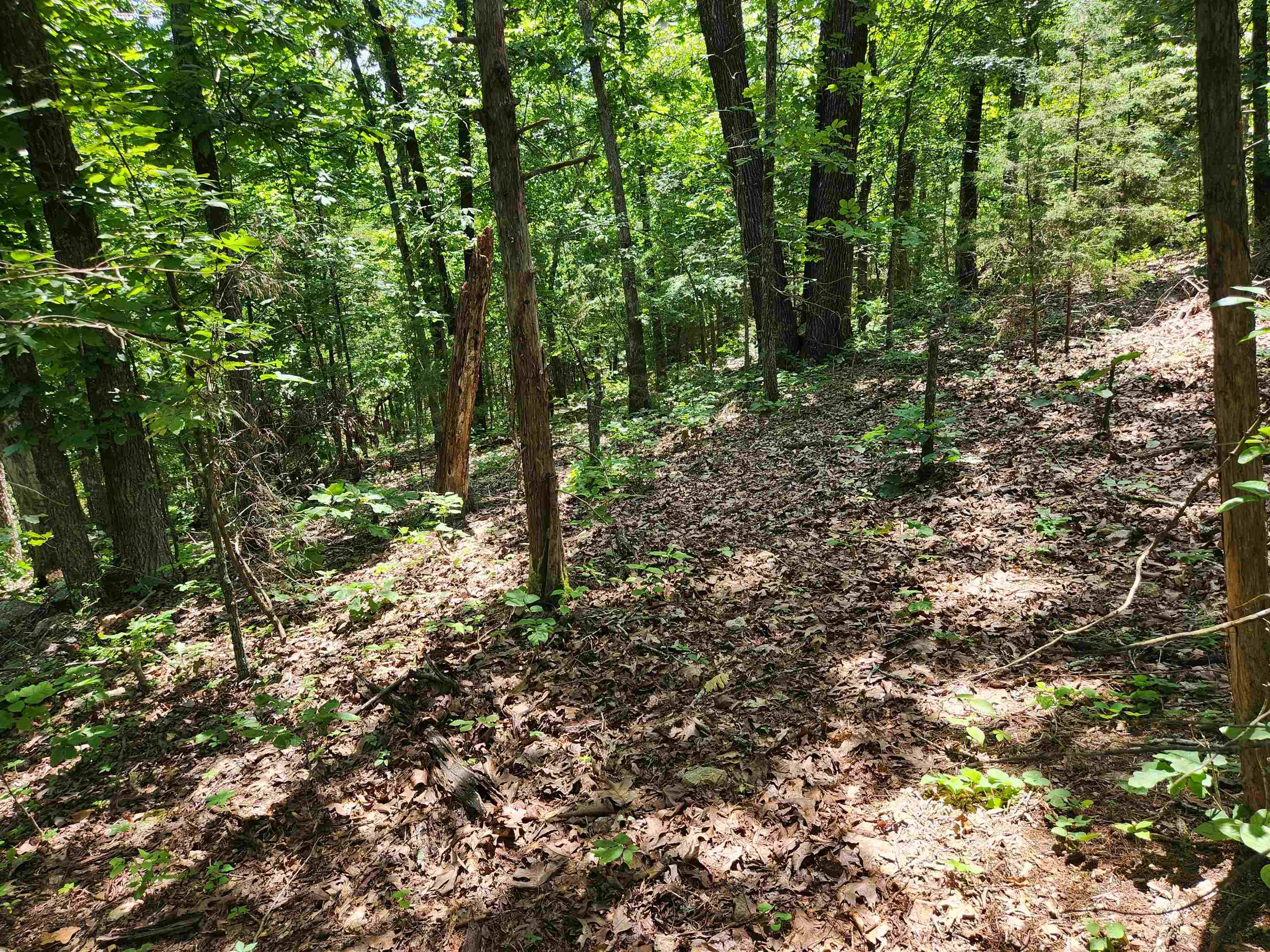 Cherokee Village - Land