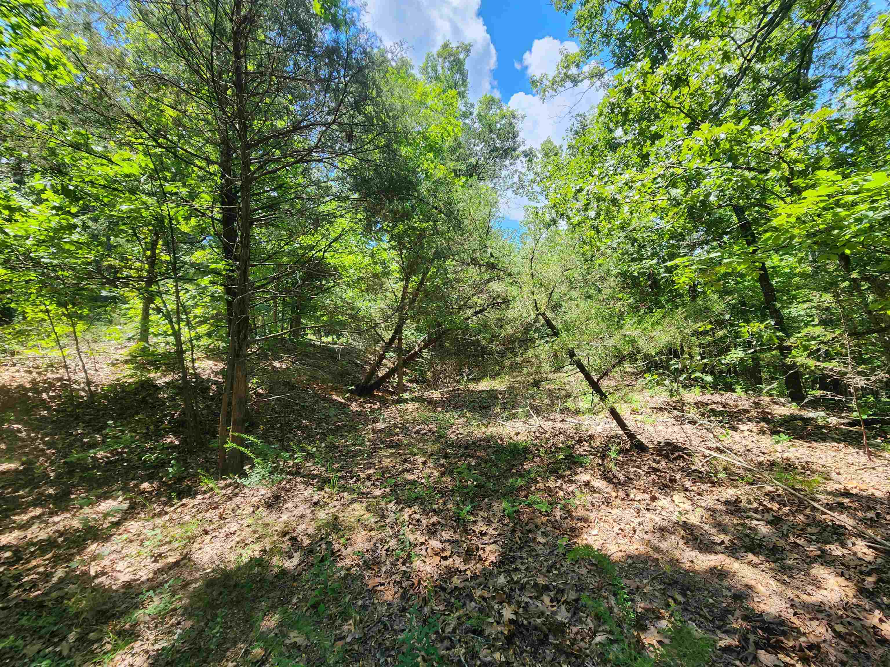 Cherokee Village - Land