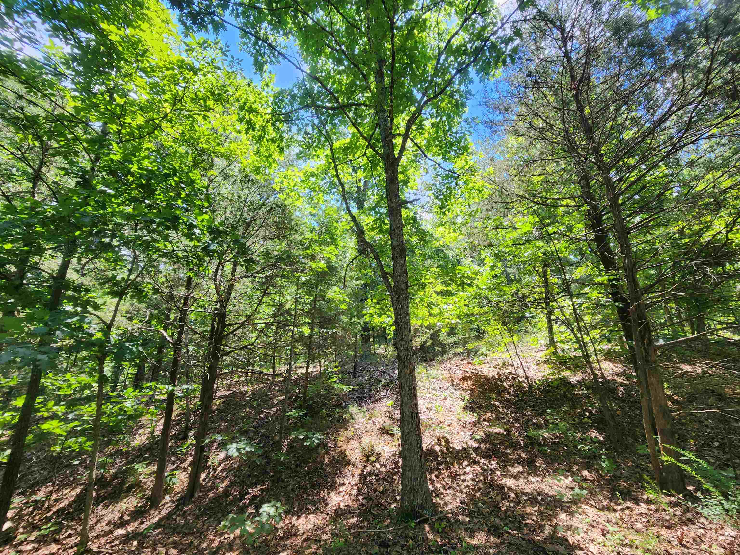 Cherokee Village - Land