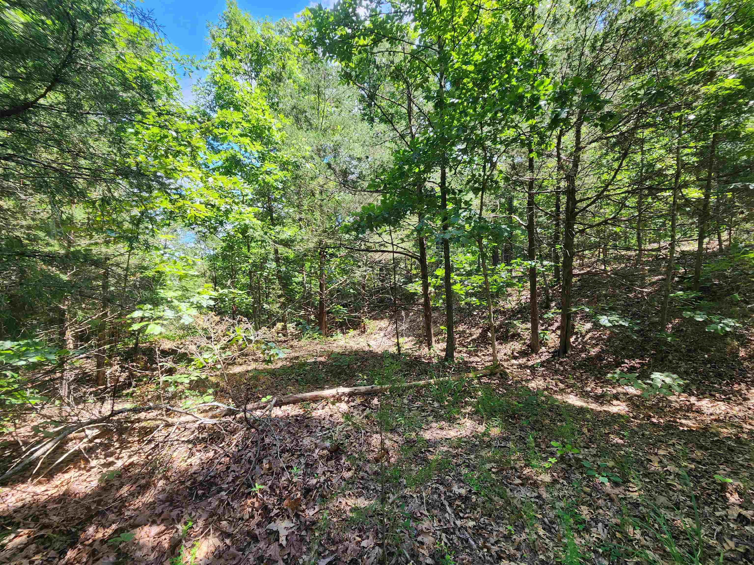 Cherokee Village - Land