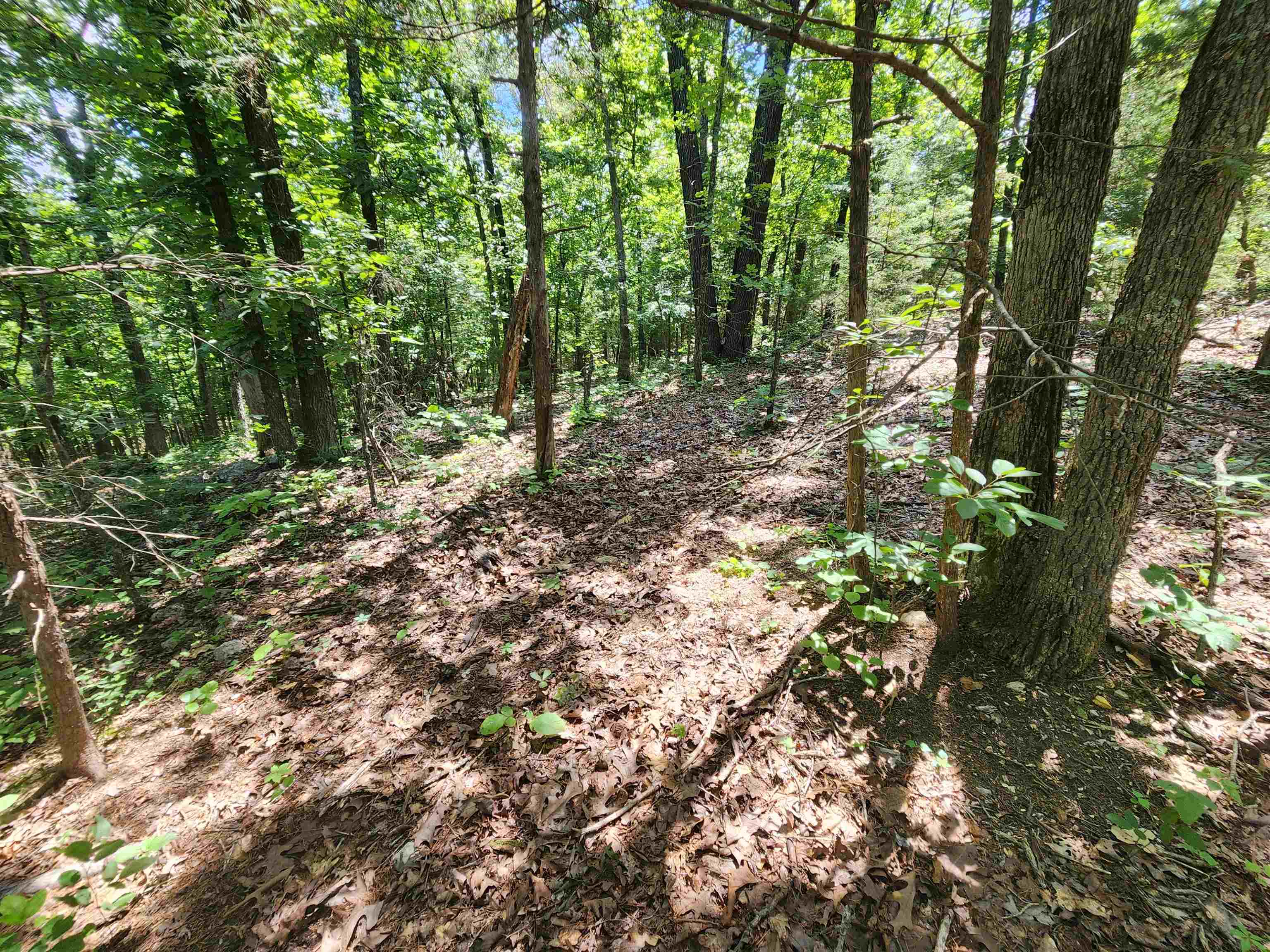 Cherokee Village - Land