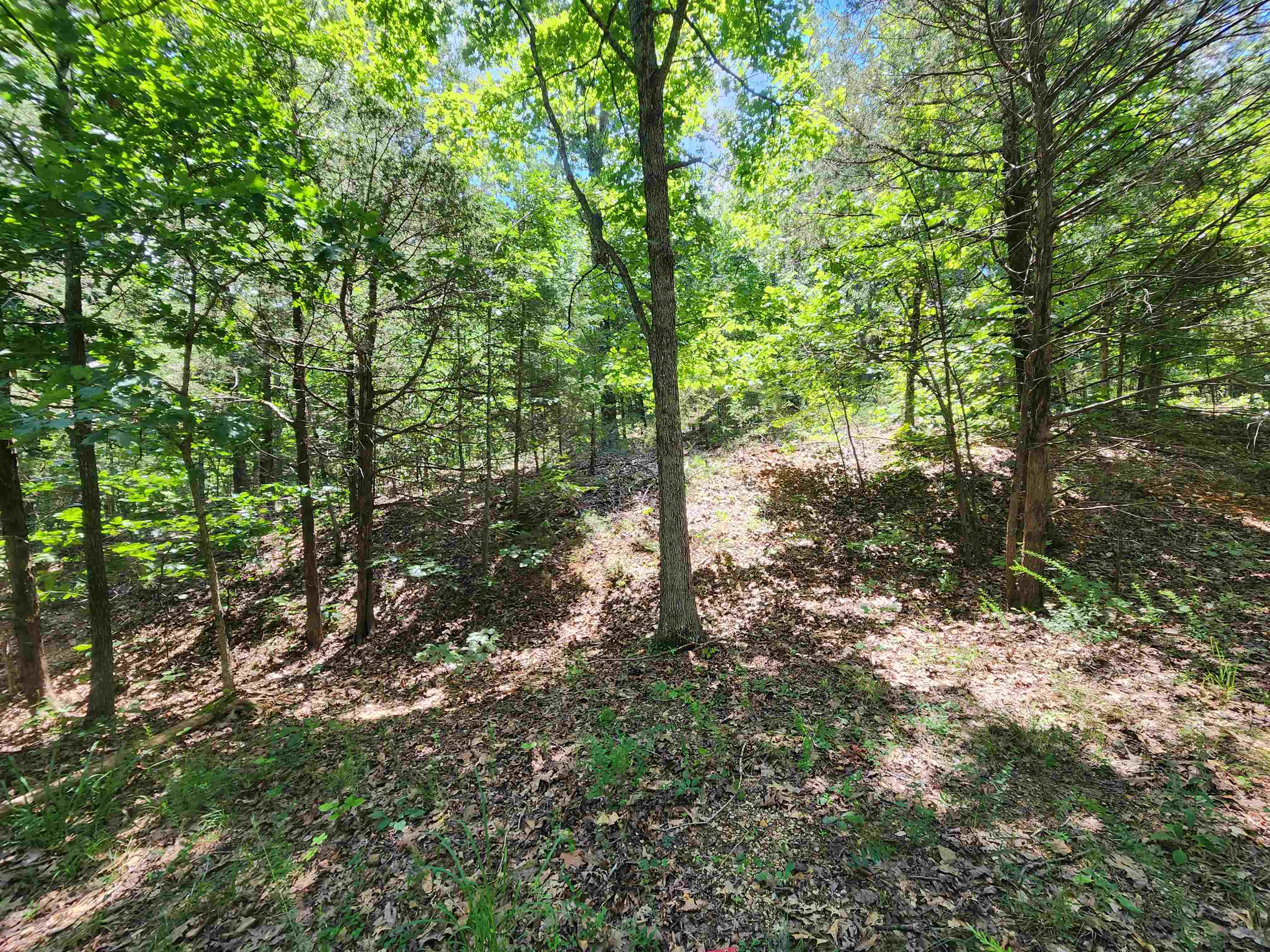 This is a beautiful, unrestricted, wooded lot. It is located just outside of the city limits of Cherokee Village. On the Fulton County side. There is no SID fee attached to this lot. No utilities. It's a Fantastic location for hunters, campers or nature lovers. There is not a house in sight. Surrounded by nothing but nature and wildlife. 4-wd drive vehicles or ATVs are suggested in order to get to this secluded lot. This is the kind of lot so many people are looking for. In the Village, but not IN the Village. It's the best of both worlds. Such a great location. Great for a weekend nature getaway. No restrictions means if you want to pitch a tent, then have at it. If you want to park a camper for a night or two or a week or whatever, have at it. Hunters would love this location. It looks like a great place for a stand or a blind. So much wildlife such as deer, bear, turkey, small game as well. Get your little piece of nature now.