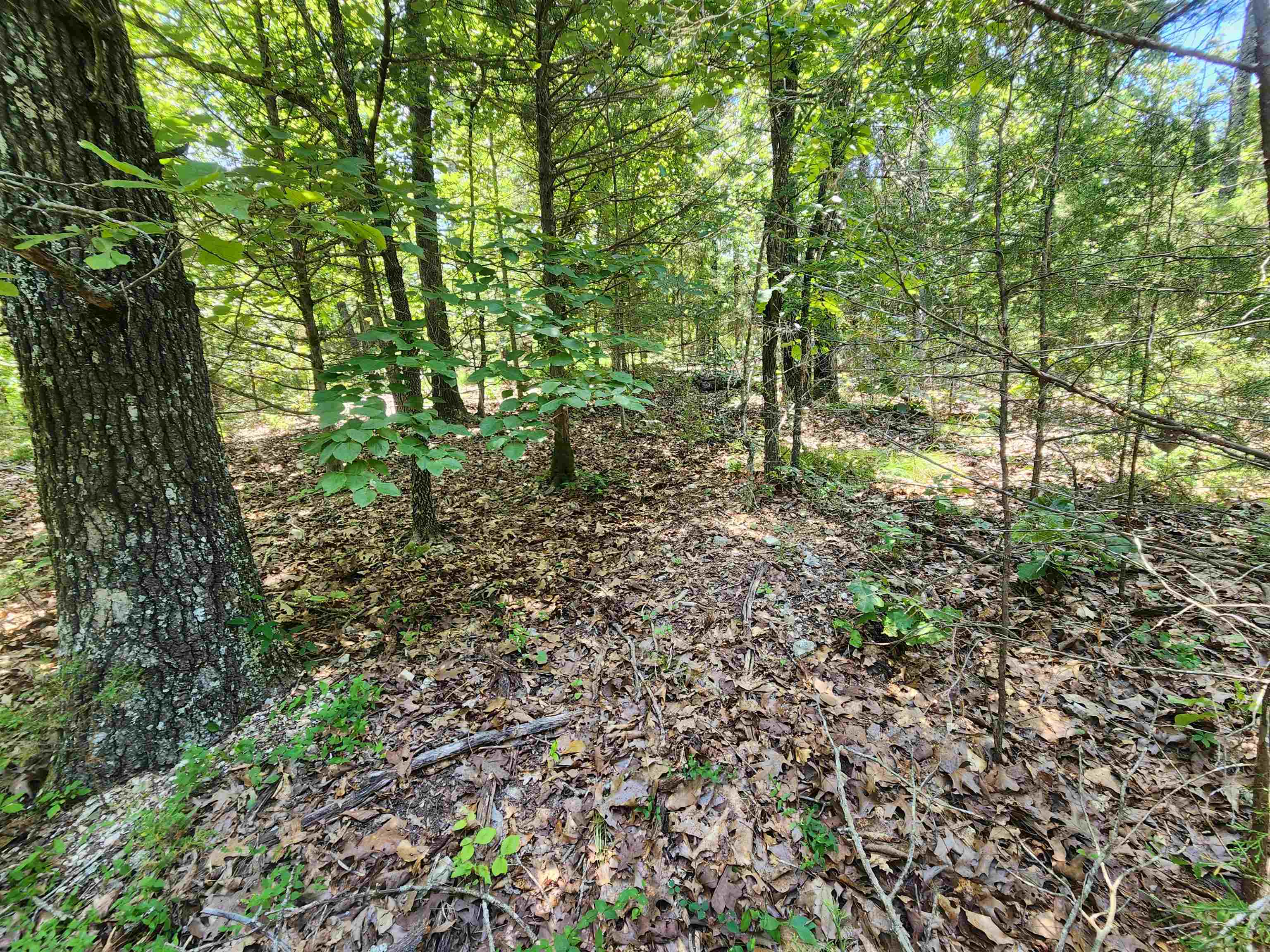 Cherokee Village - Land