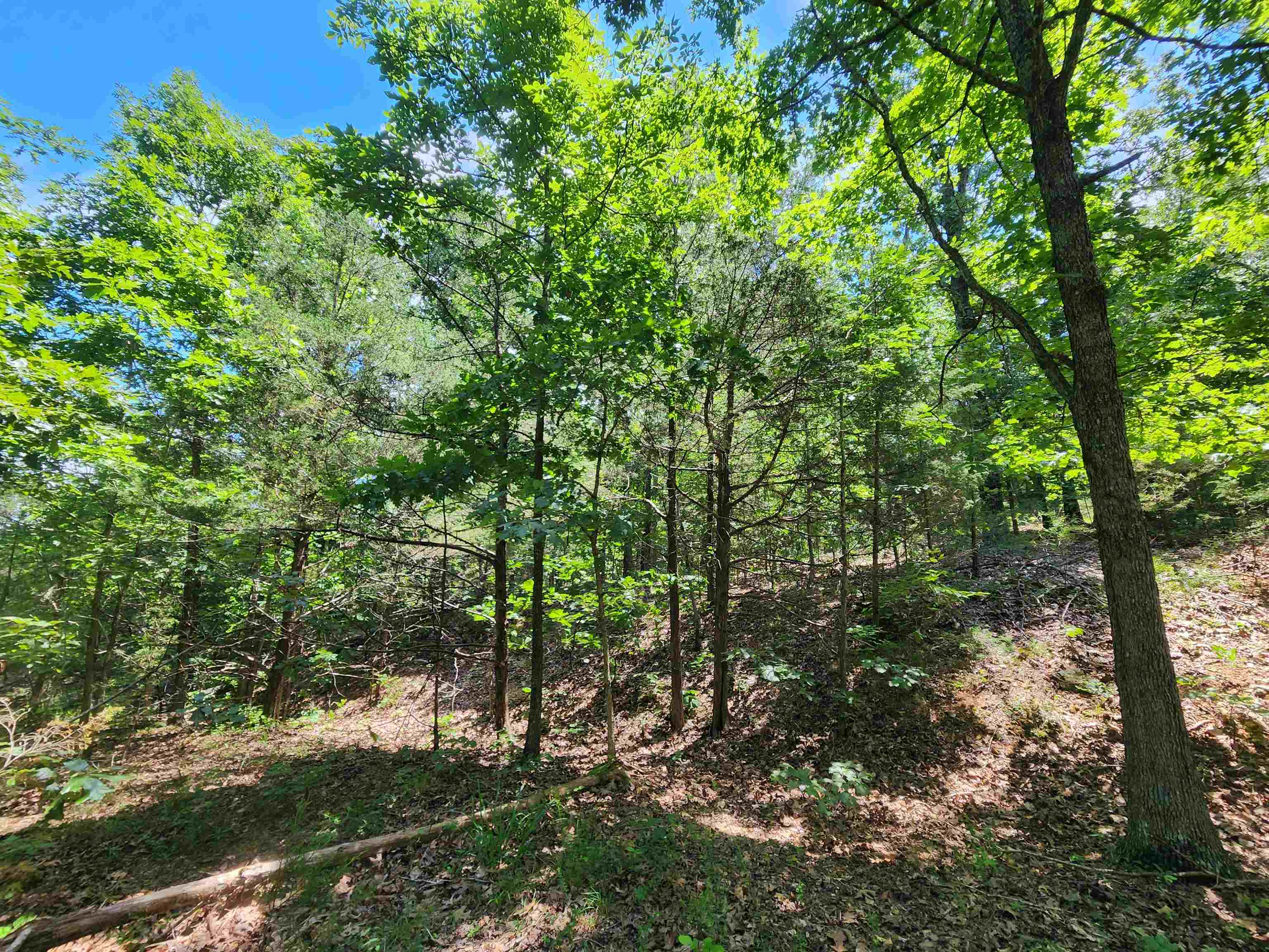 Cherokee Village - Land